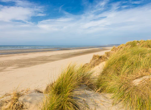 Papermoon Fototapete »Dunes Touquet-Paris Beach« günstig online kaufen