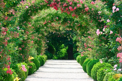 Papermoon Fototapete »Rose Arch Garden« günstig online kaufen