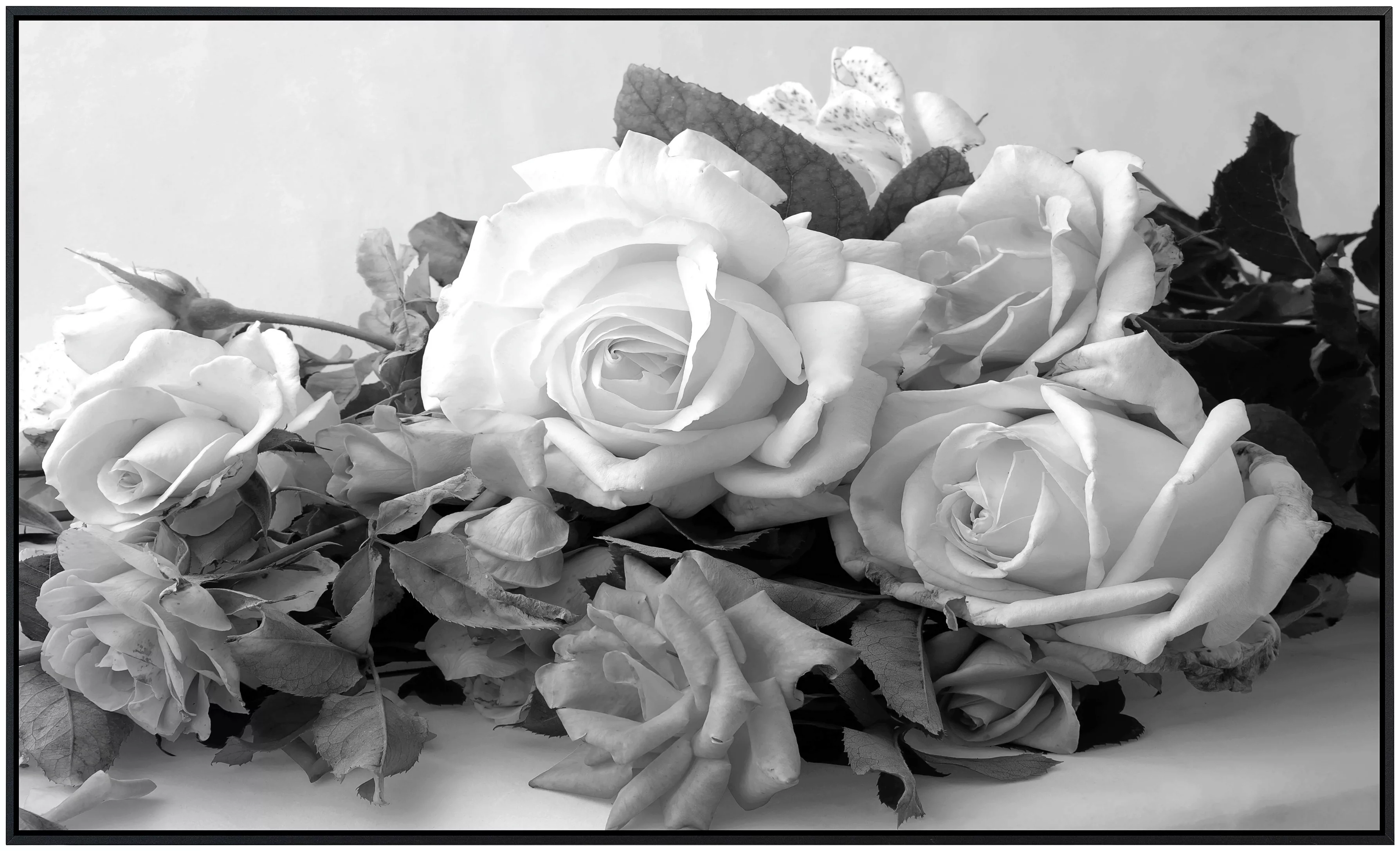 Papermoon Infrarotheizung »Blumen Schwarz & Weiß« günstig online kaufen