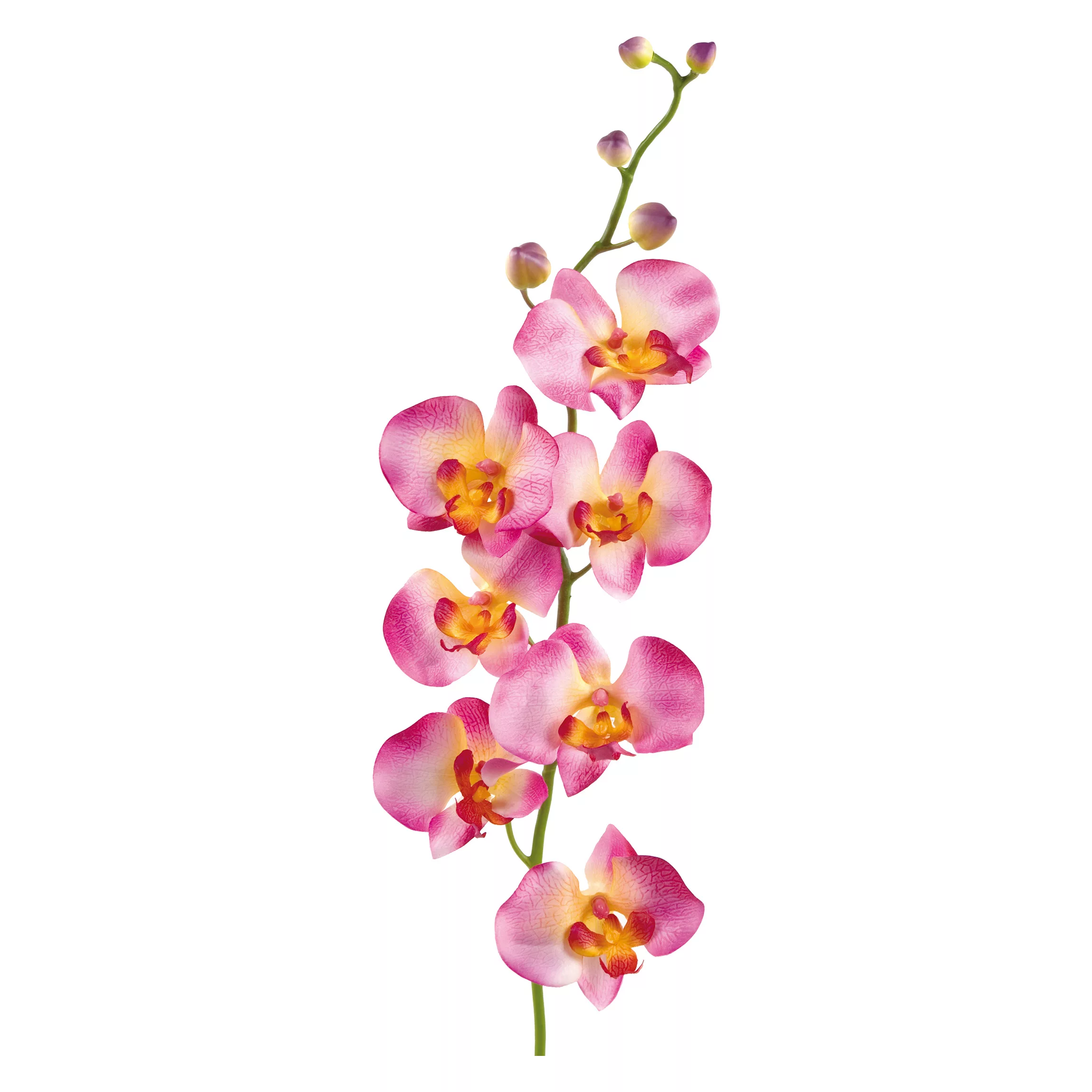 Wandtattoo Blumen No.177 Orchidee Rosa II günstig online kaufen