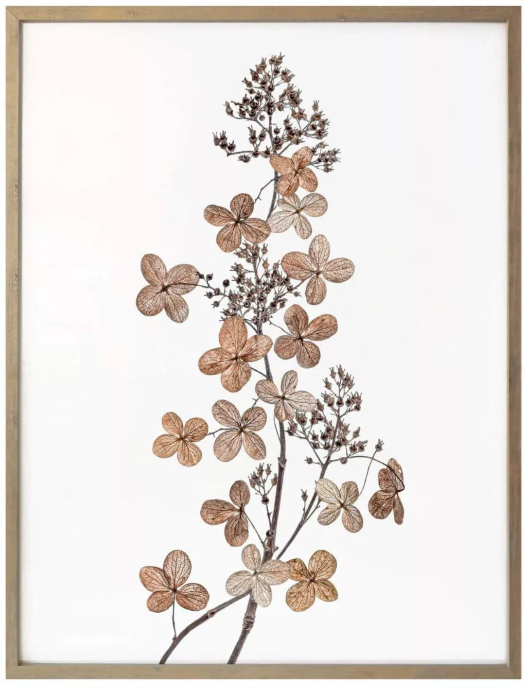 Wall-Art Poster "Hortensie", Blumen, (1 St.), Poster ohne Bilderrahmen günstig online kaufen