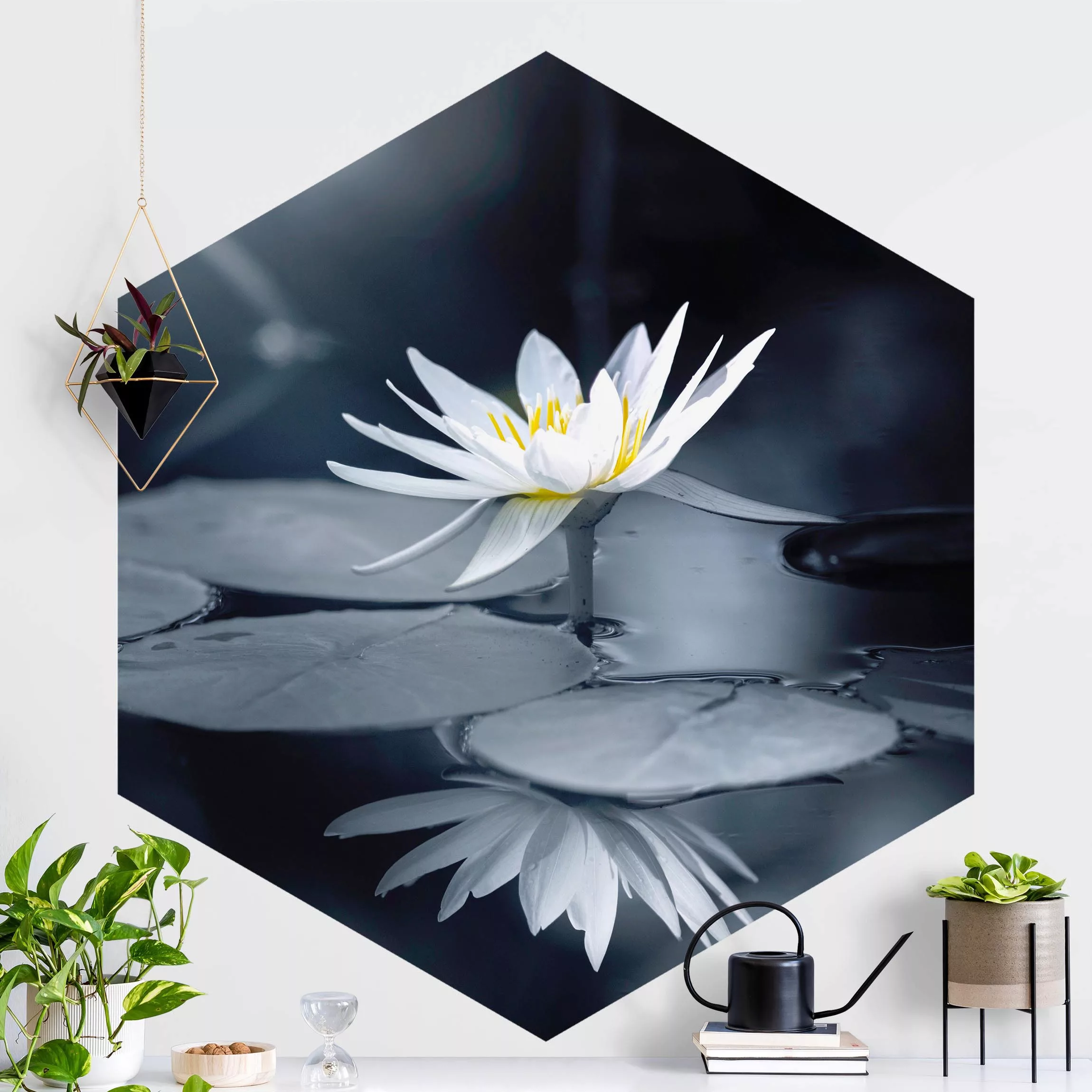 Hexagon Fototapete selbstklebend Lotus Spiegelung im Wasser günstig online kaufen