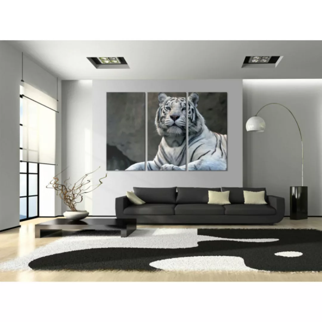 Wandbild Stolzer Tiger XXL günstig online kaufen