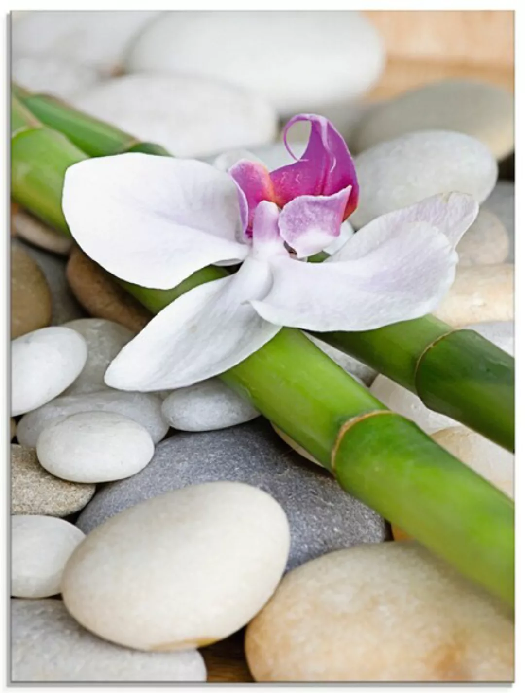 Artland Glasbild »Zen Orchidee«, Zen, (1 St.), in verschiedenen Größen günstig online kaufen