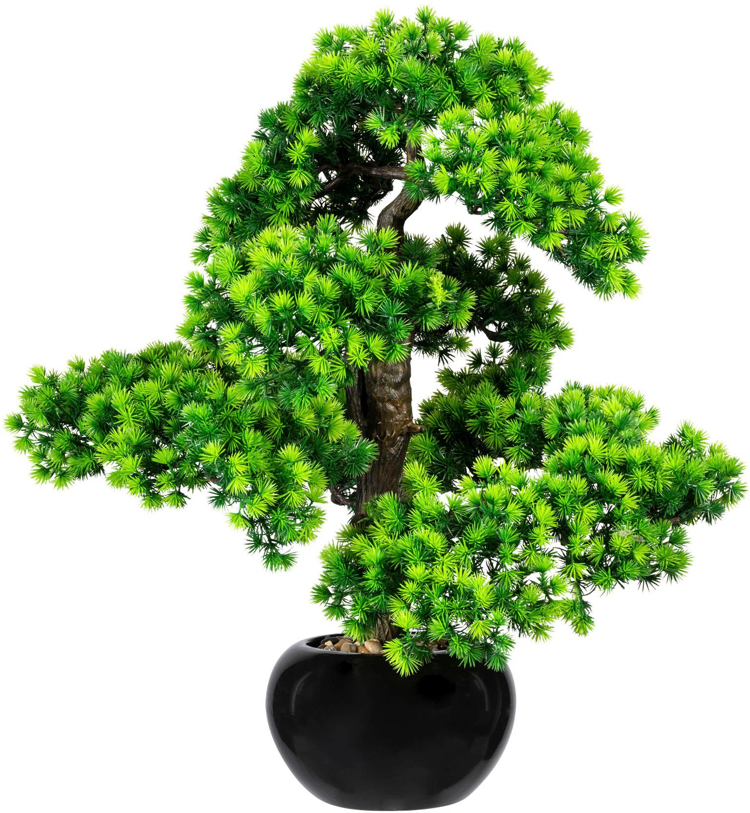 Creativ green Kunstbonsai "Bonsai Lärche", im Keramiktopf günstig online kaufen