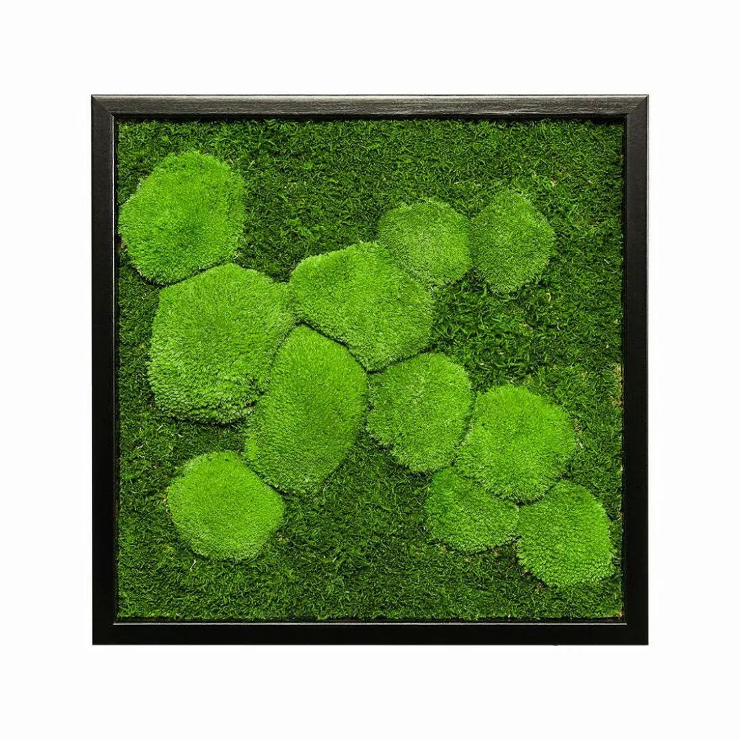 Moos-Design Bild Moosbild Fifty Fifty Design günstig online kaufen