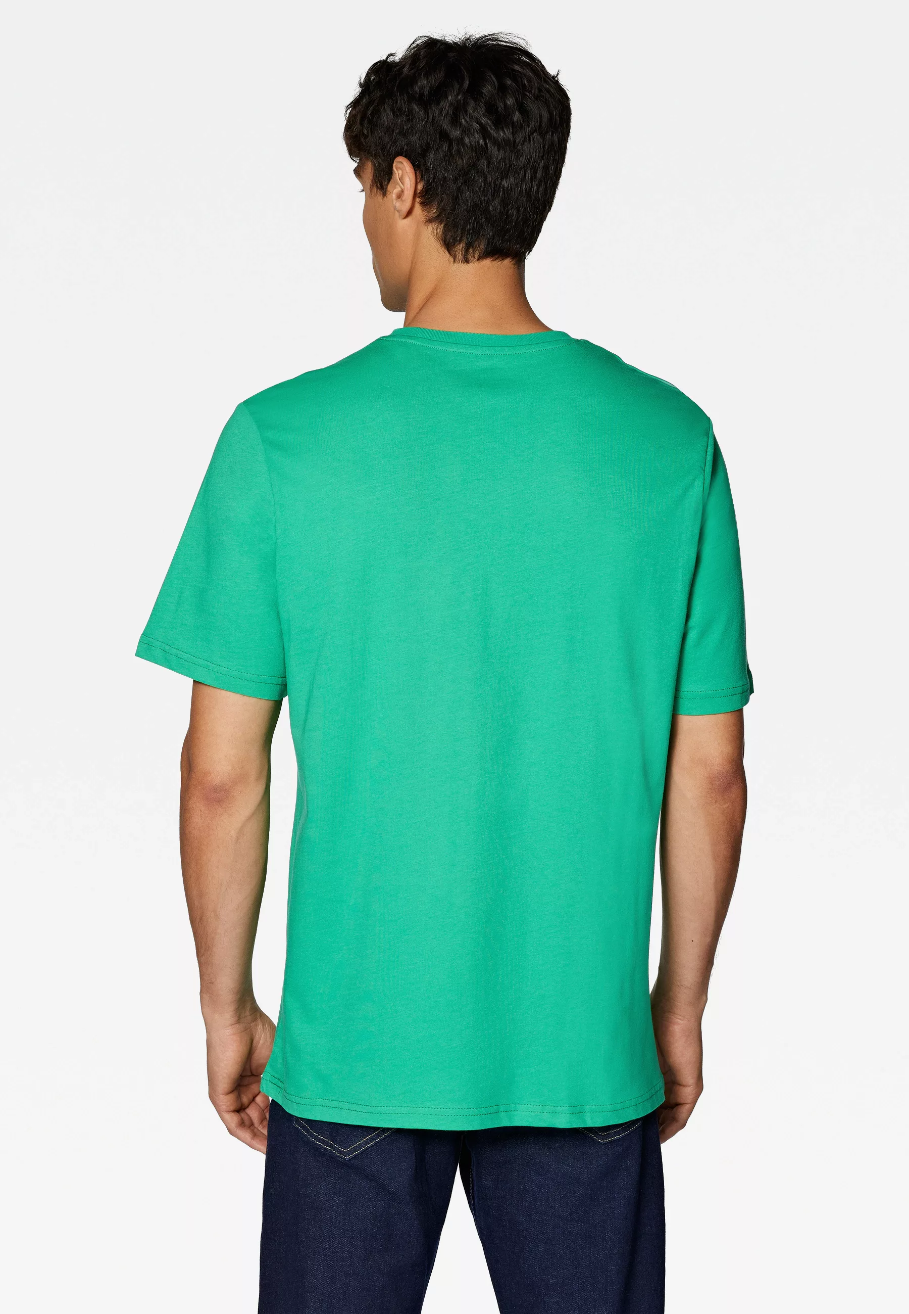 Mavi Rundhalsshirt "MAVI PRINTED TEE", T-Shirt mit Mavi Print günstig online kaufen
