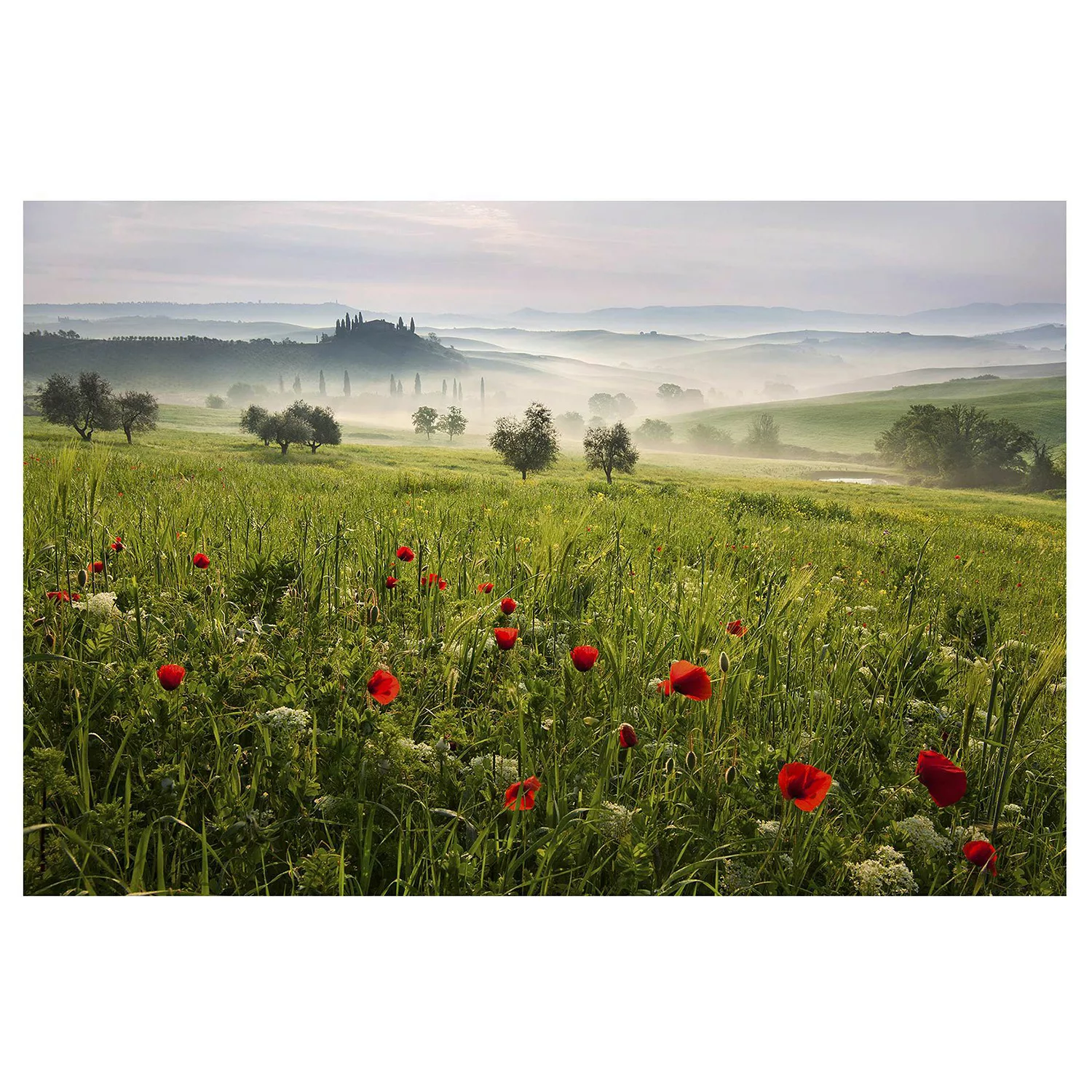 Bilderwelten Blumentapete Toskana Frühling grün Gr. 432 x 290 günstig online kaufen