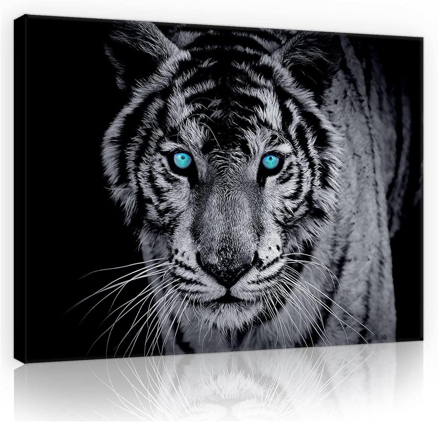 Wallarena Leinwandbild Tiger Tiere schwarz Modern günstig online kaufen
