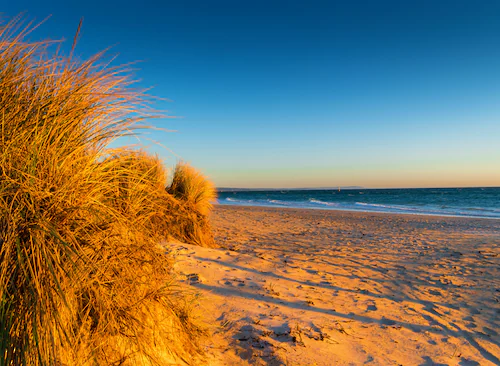 Papermoon Fototapete »Dunes Chelsea Beach Australia« günstig online kaufen