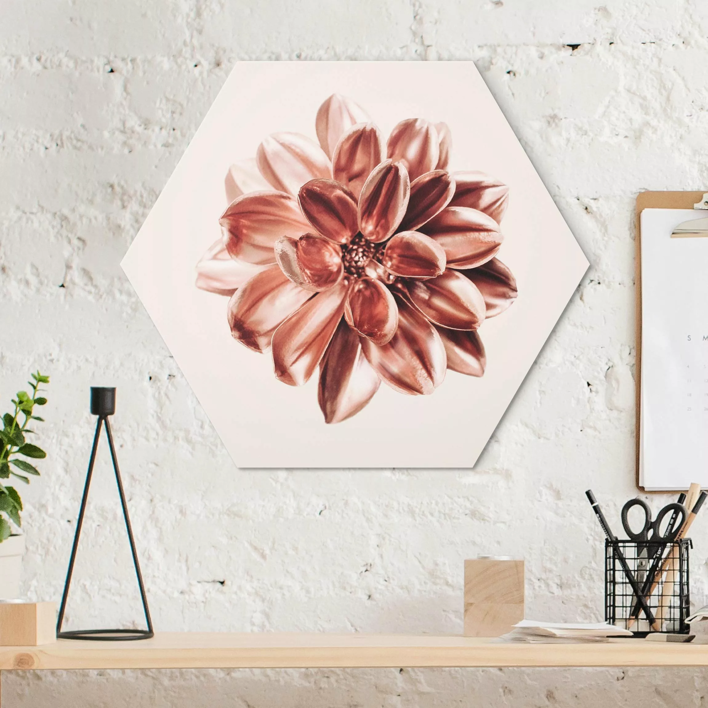 Hexagon-Alu-Dibond Bild Dahlie Rosegold Metallic Rosa günstig online kaufen