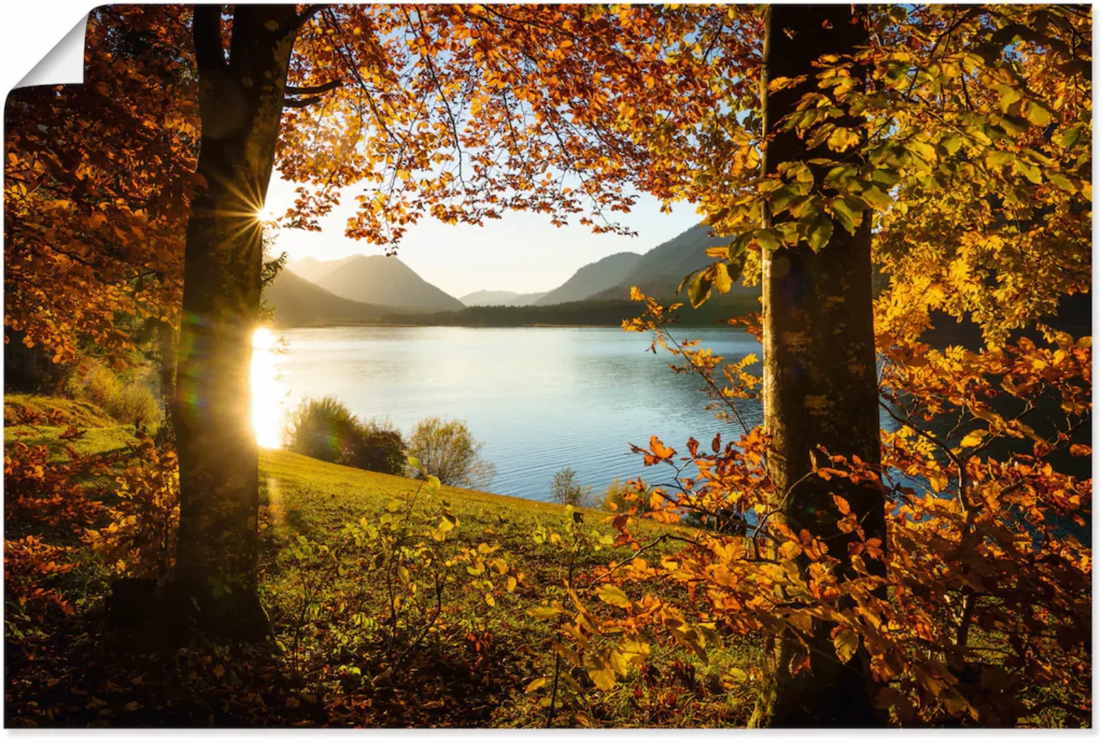 Artland Wandbild "Herbst am Sylvensteinsee", Gewässer, (1 St.) günstig online kaufen