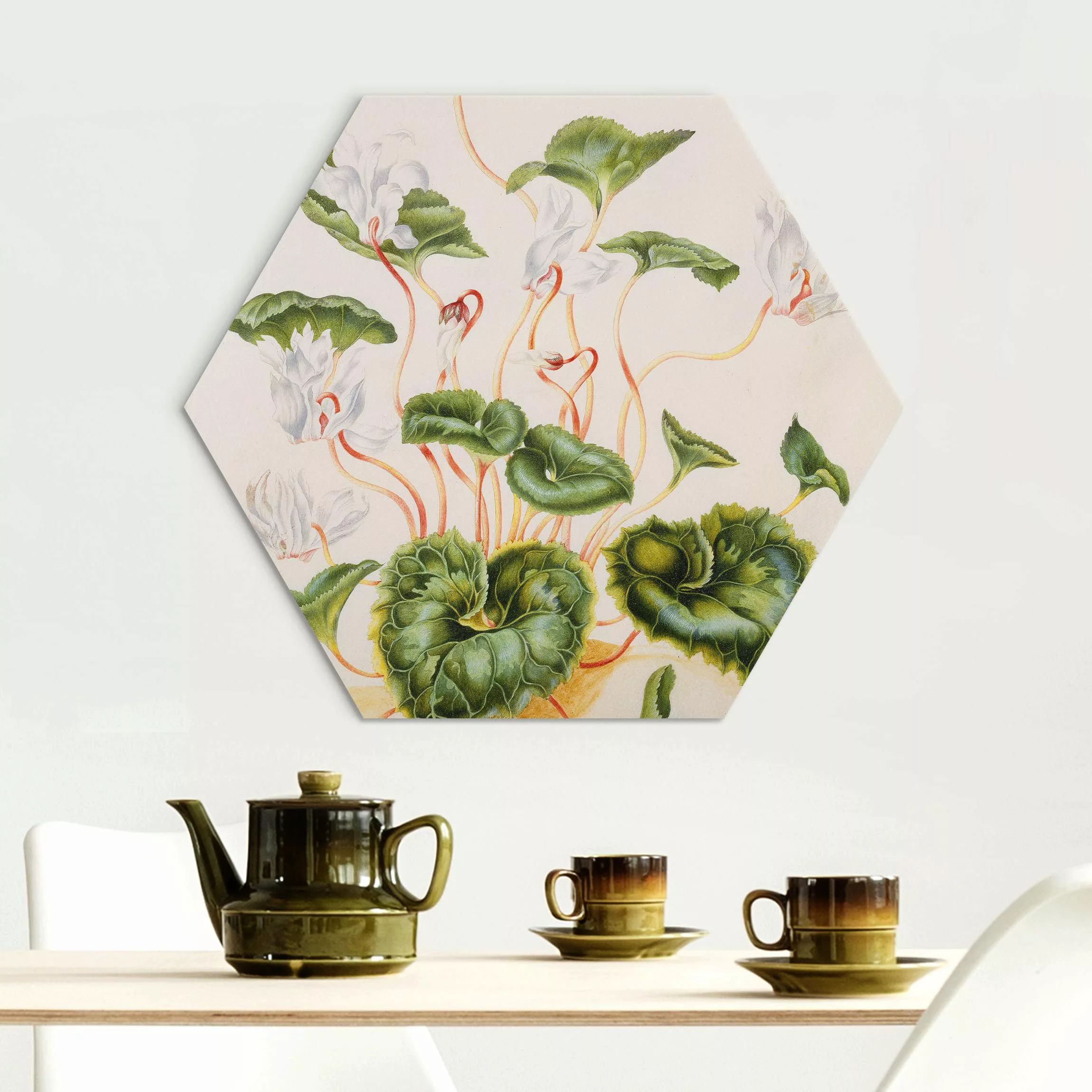 Hexagon-Alu-Dibond Bild Anna Maria Sibylla Merian - Weiße Veilchen günstig online kaufen