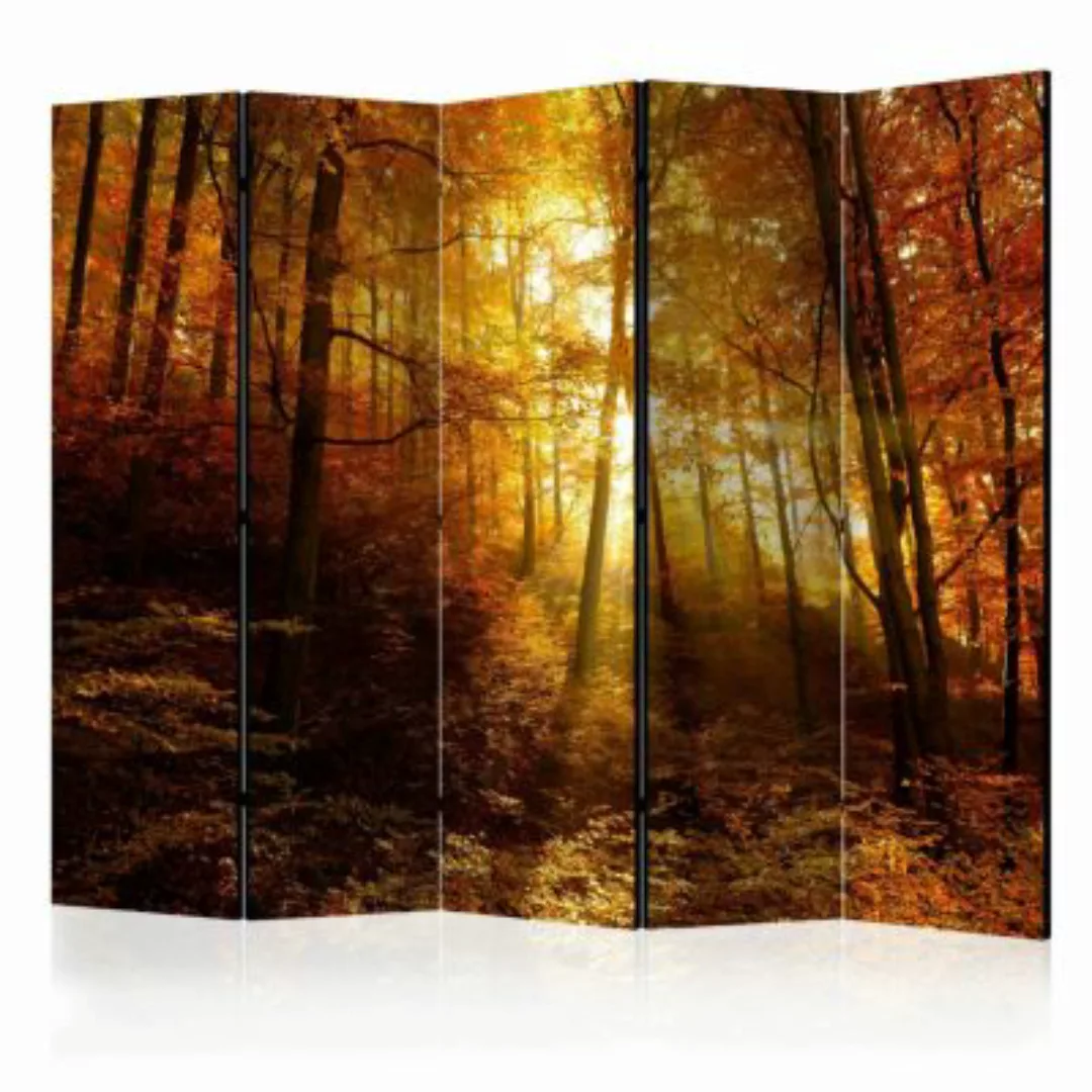 artgeist Paravent Autumn Illumination II [Room Dividers] mehrfarbig Gr. 225 günstig online kaufen