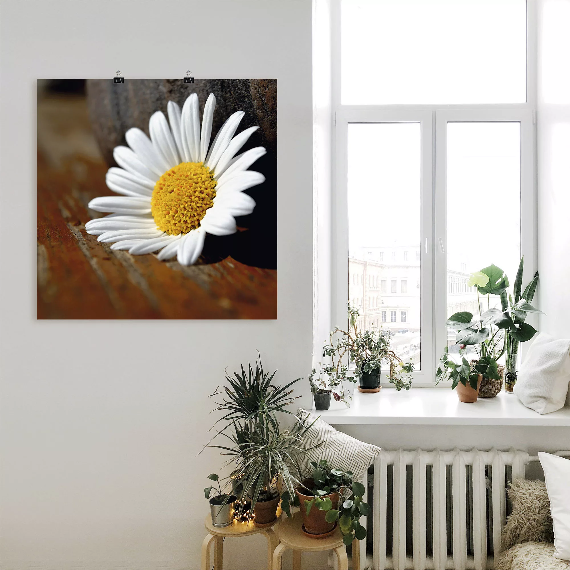 Artland Poster "Margeriten Stillleben", Blumen, (1 St.), als Leinwandbild, günstig online kaufen