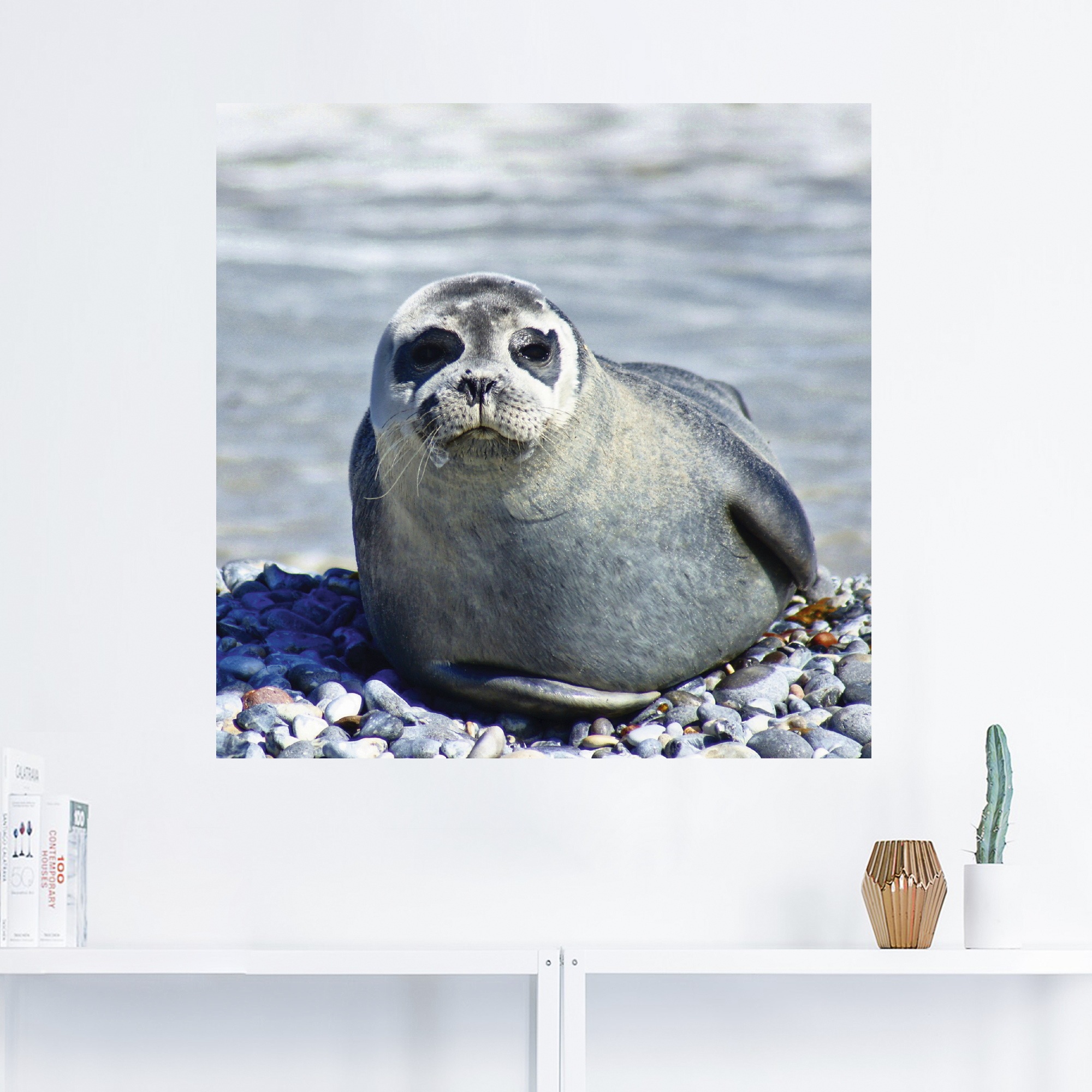 Artland Wandbild »Robbe am Strand von Helgoland«, Wassertiere, (1 St.), als günstig online kaufen