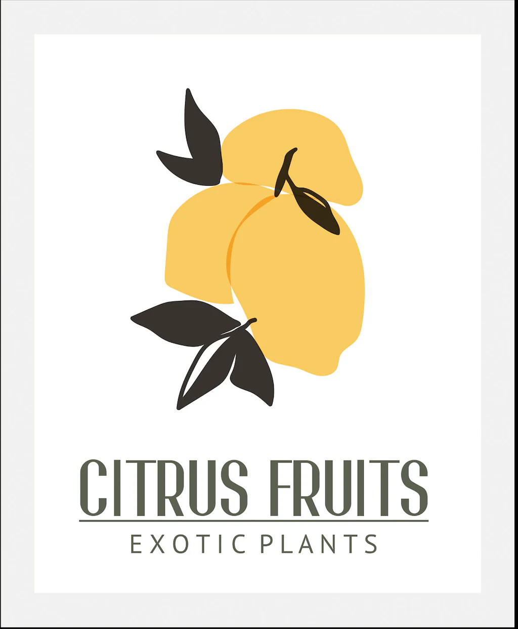 queence Bild »Citrus Fruits«, (1 St.), gerahmt günstig online kaufen