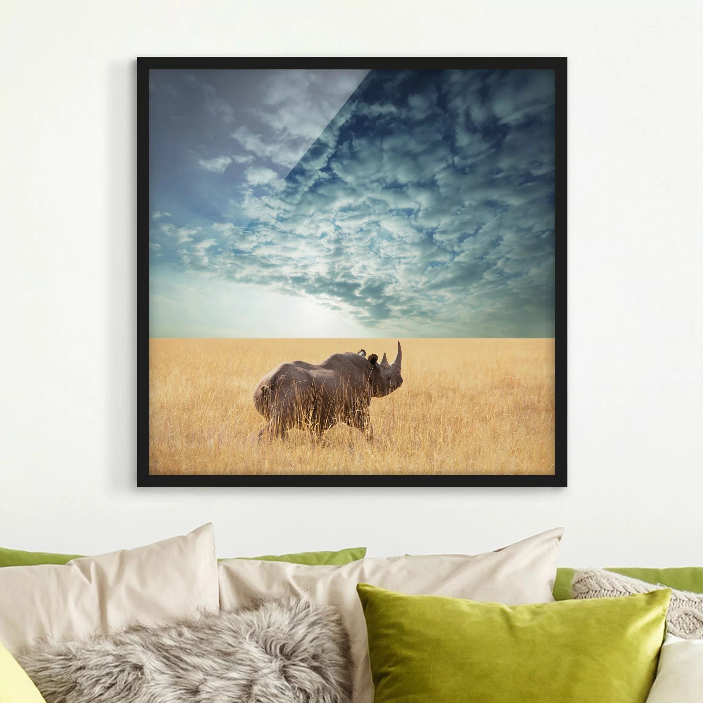 Bild mit Rahmen Natur & Landschaft - Quadrat Nashorn in der Savanne günstig online kaufen