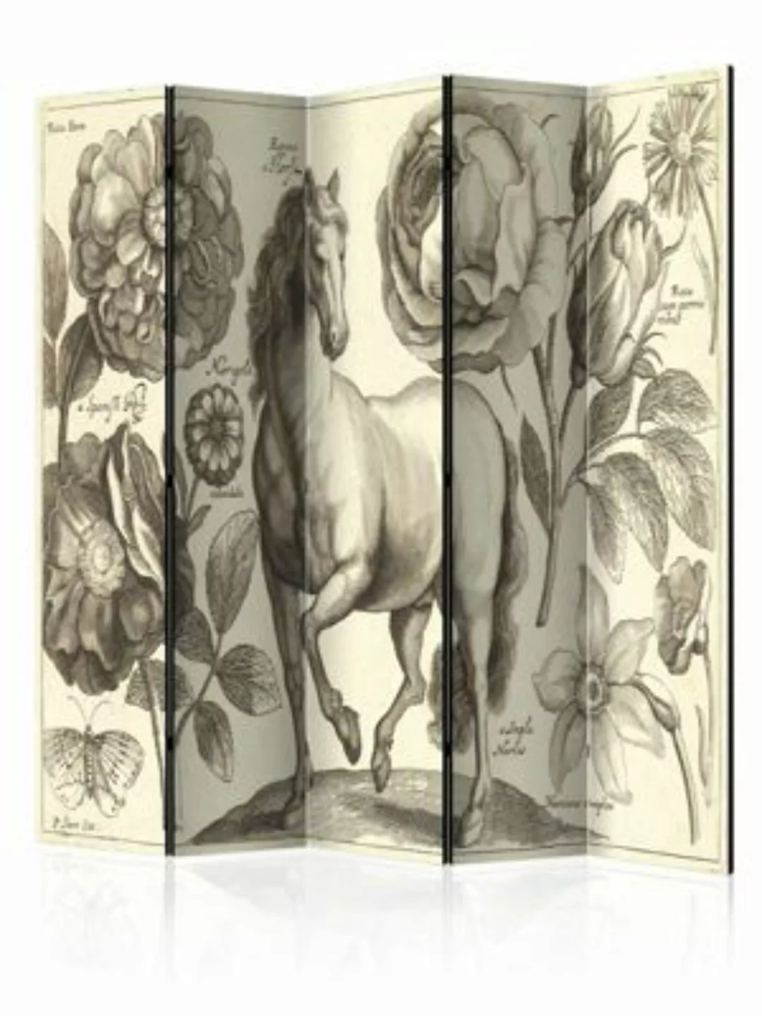 artgeist Paravent Horse II [Room Dividers] creme/grau Gr. 225 x 172 günstig online kaufen