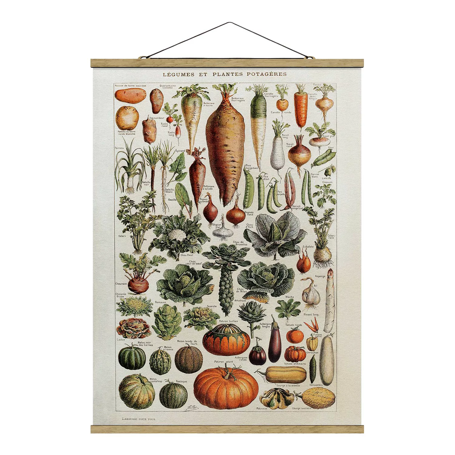 home24 Stoffbild Vintage Lehrtafel Gemüse günstig online kaufen