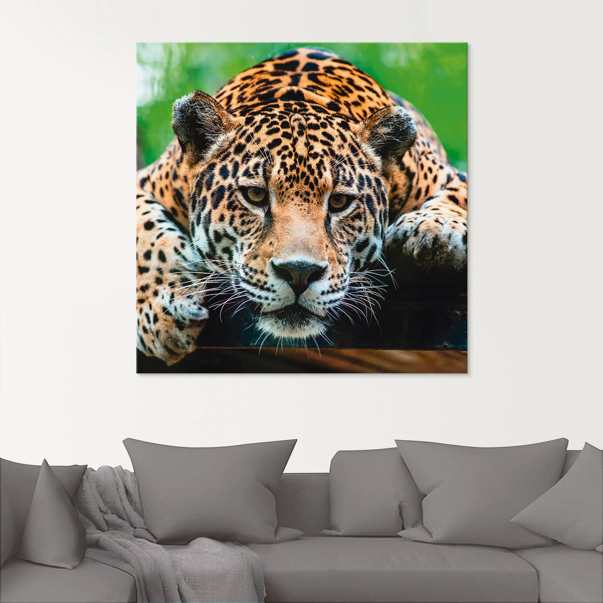 Artland Glasbild »Südamerikanischer Jaguar«, Wildtiere, (1 St.) günstig online kaufen