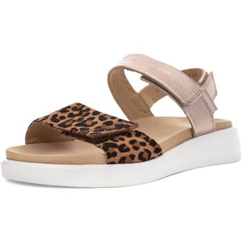 Ara Riemchensandale "Ara Sandalen Leder" günstig online kaufen
