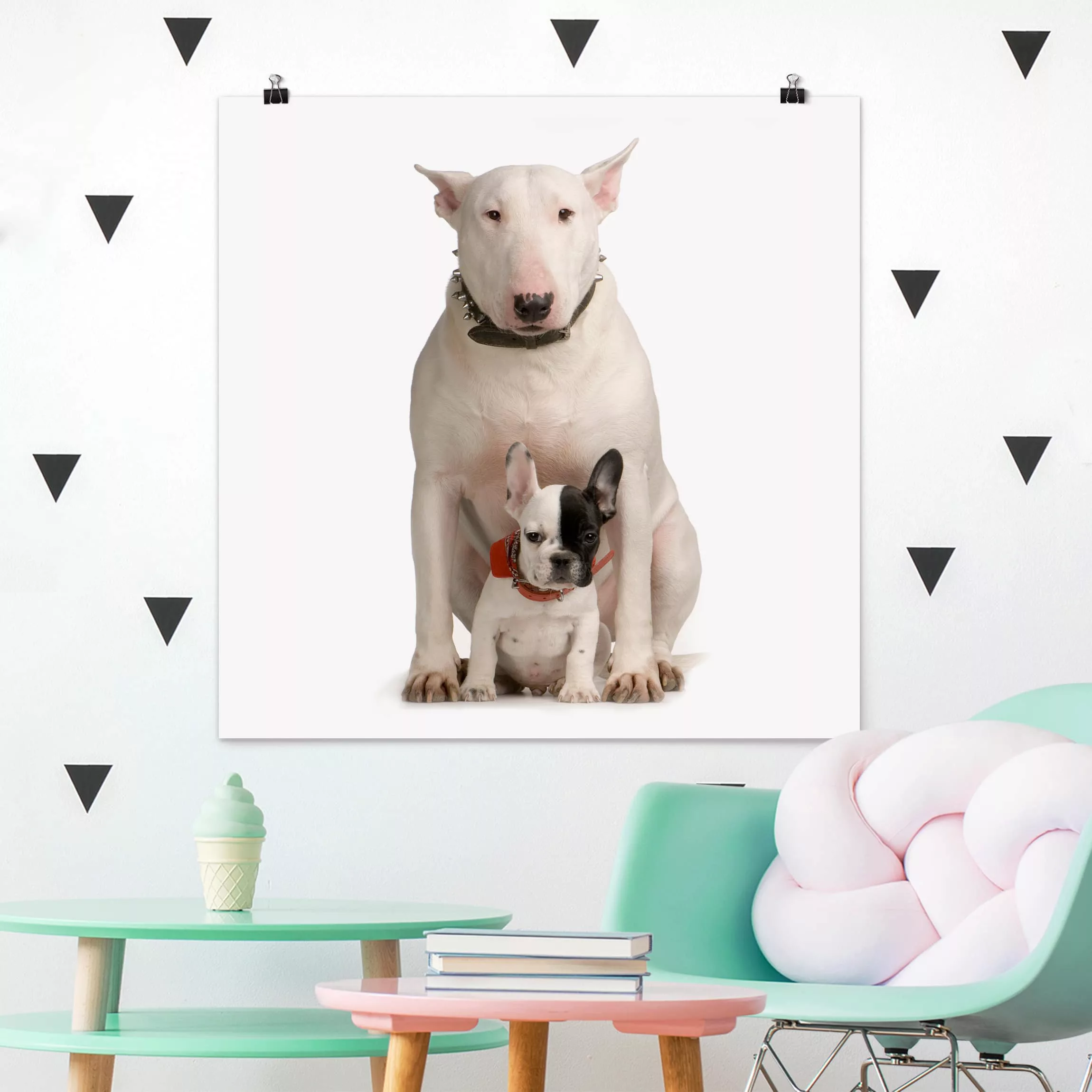 Poster Tiere - Quadrat Bull Terrier and friend günstig online kaufen