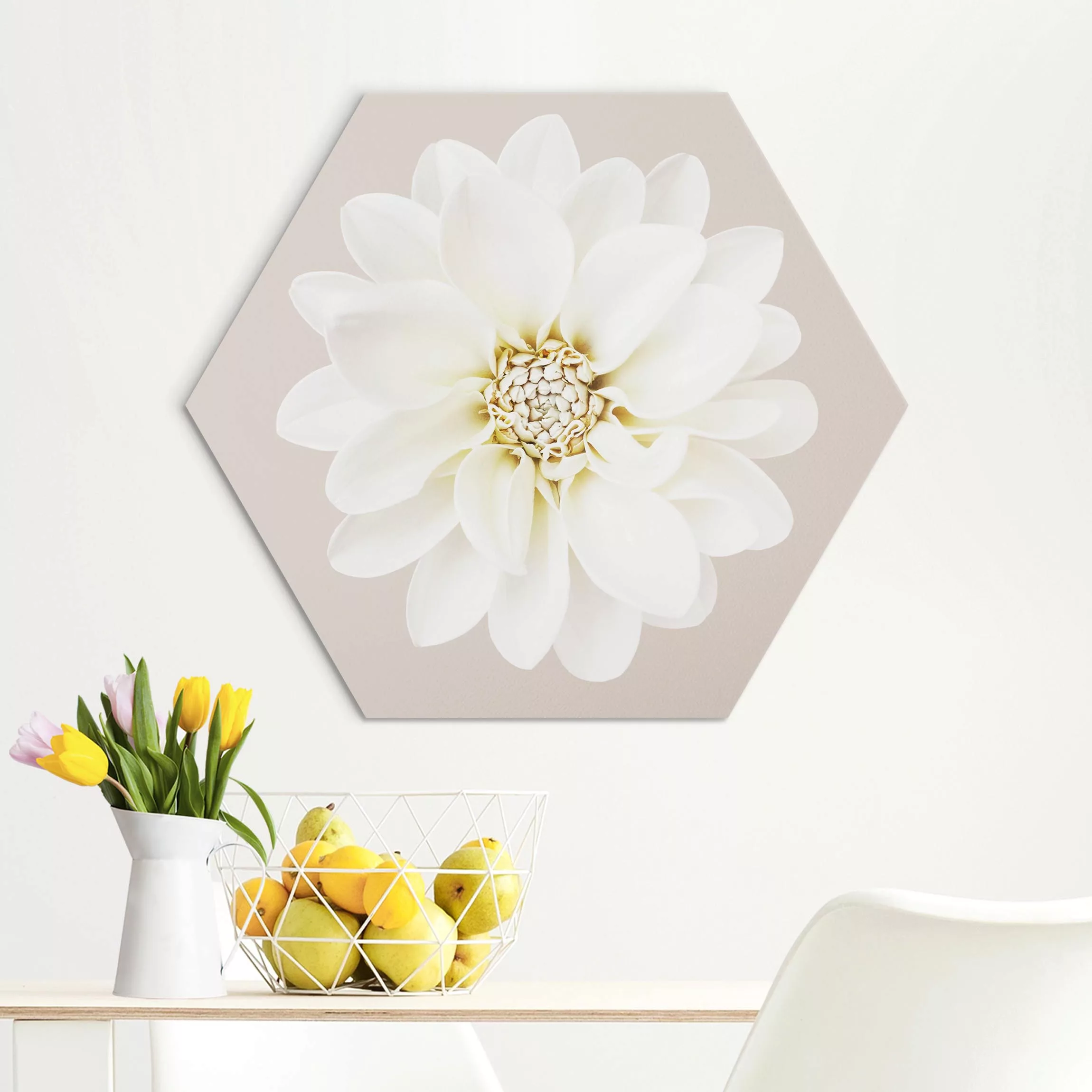Hexagon-Alu-Dibond Bild Dahlie Weiß Taupe Pastell Zentriert günstig online kaufen