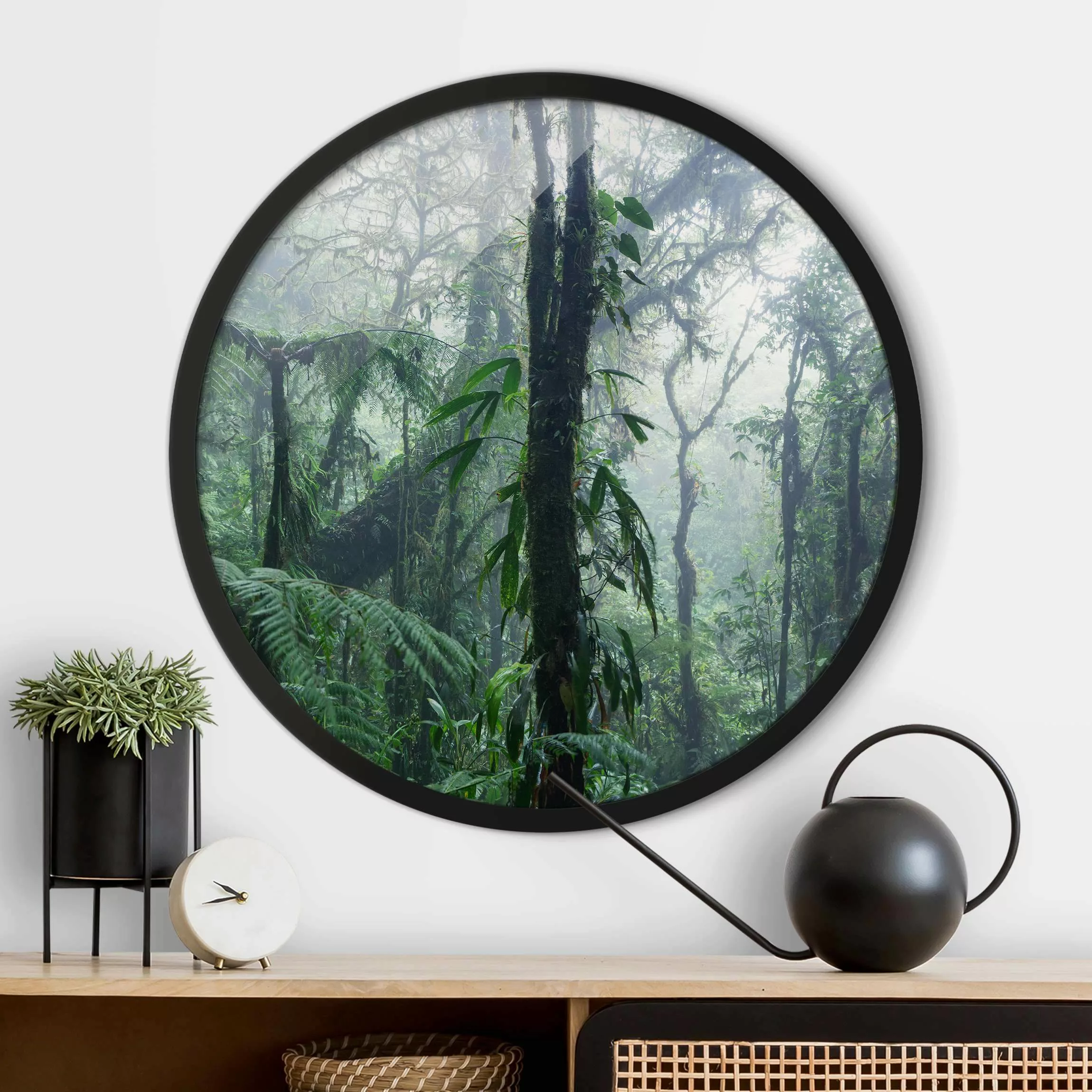 Rundes Gerahmtes Bild Monteverde Nebelwald günstig online kaufen