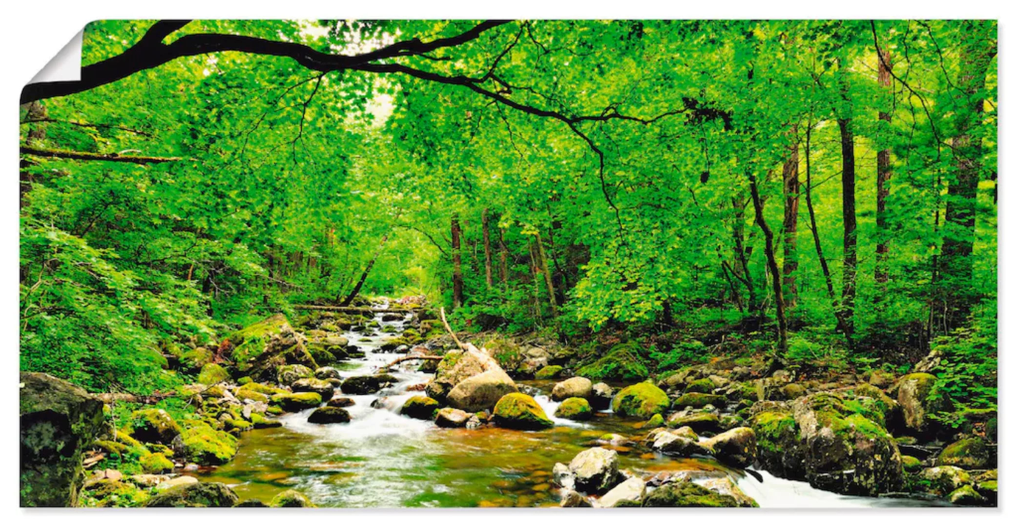 Artland Wandbild "Herbstwald Fluss Smolny", Wald, (1 St.), als Leinwandbild günstig online kaufen