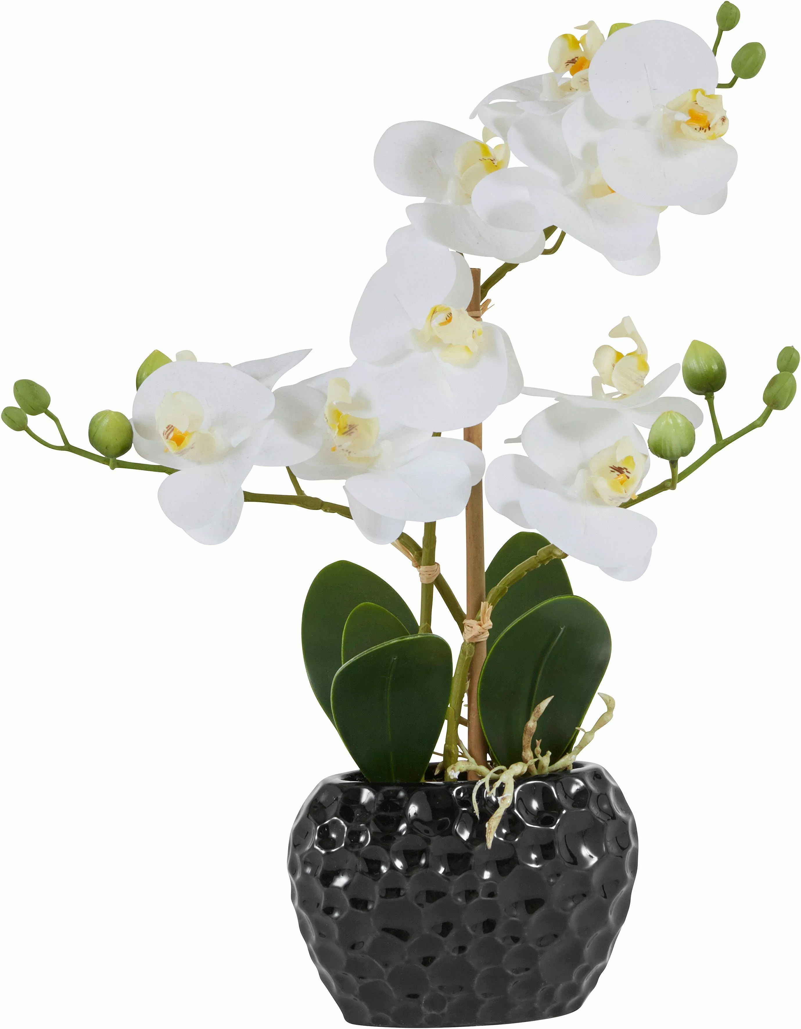 Leonique Kunstpflanze "Orchidee", Kunstorchidee, im Topf, Bestseller, über günstig online kaufen
