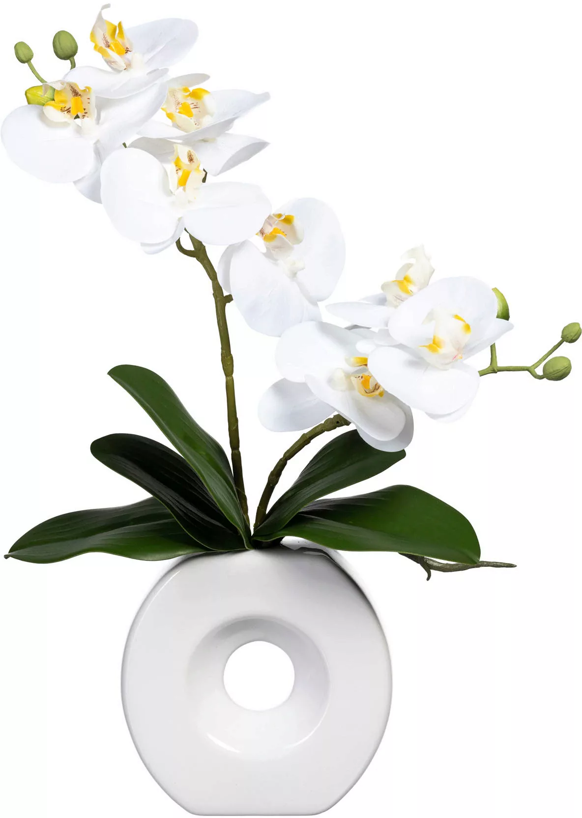 Creativ green Kunstorchidee "Phalaenopsis", in Keramikvase günstig online kaufen