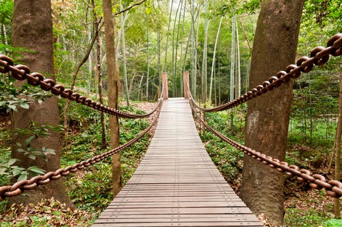 Papermoon Fototapete »Suspension Bridge«, matt günstig online kaufen