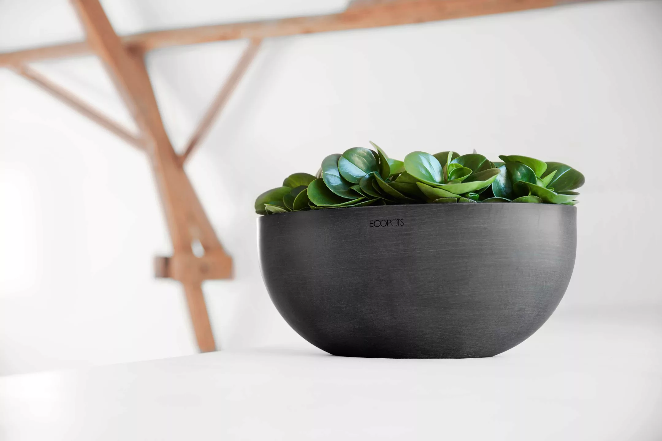 ECOPOTS Blumentopf "Sofia groß 43 Dunkelgrau", für innen und außen: frostsi günstig online kaufen