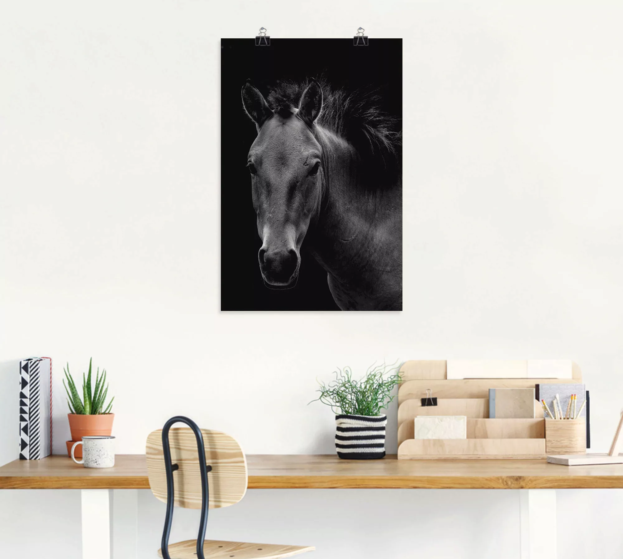 Artland Poster »Wildpferd«, Pferdebilder, (1 St.), als Alubild, Leinwandbil günstig online kaufen