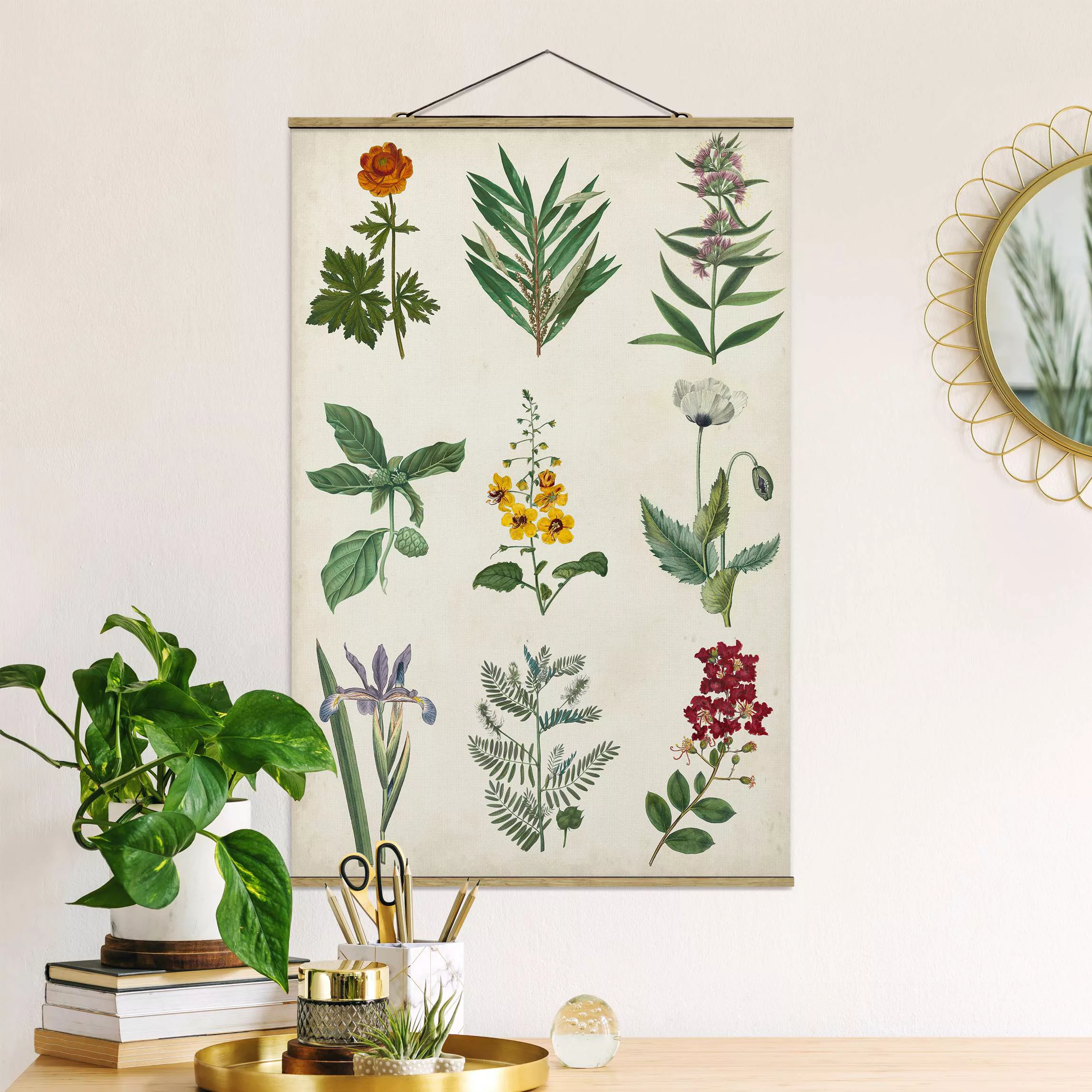 Stoffbild Blumen mit Posterleisten - Hochformat Botanische Schautafel II günstig online kaufen