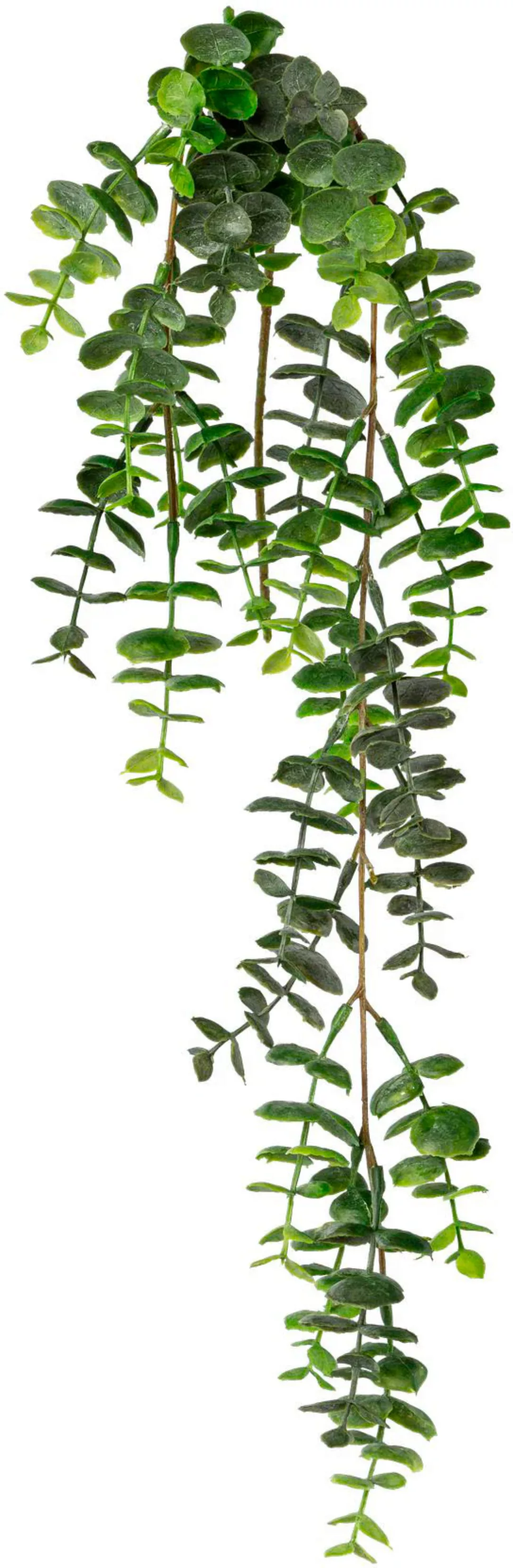 Creativ green Kunstranke "Eukalyptus-Hängezweig" günstig online kaufen