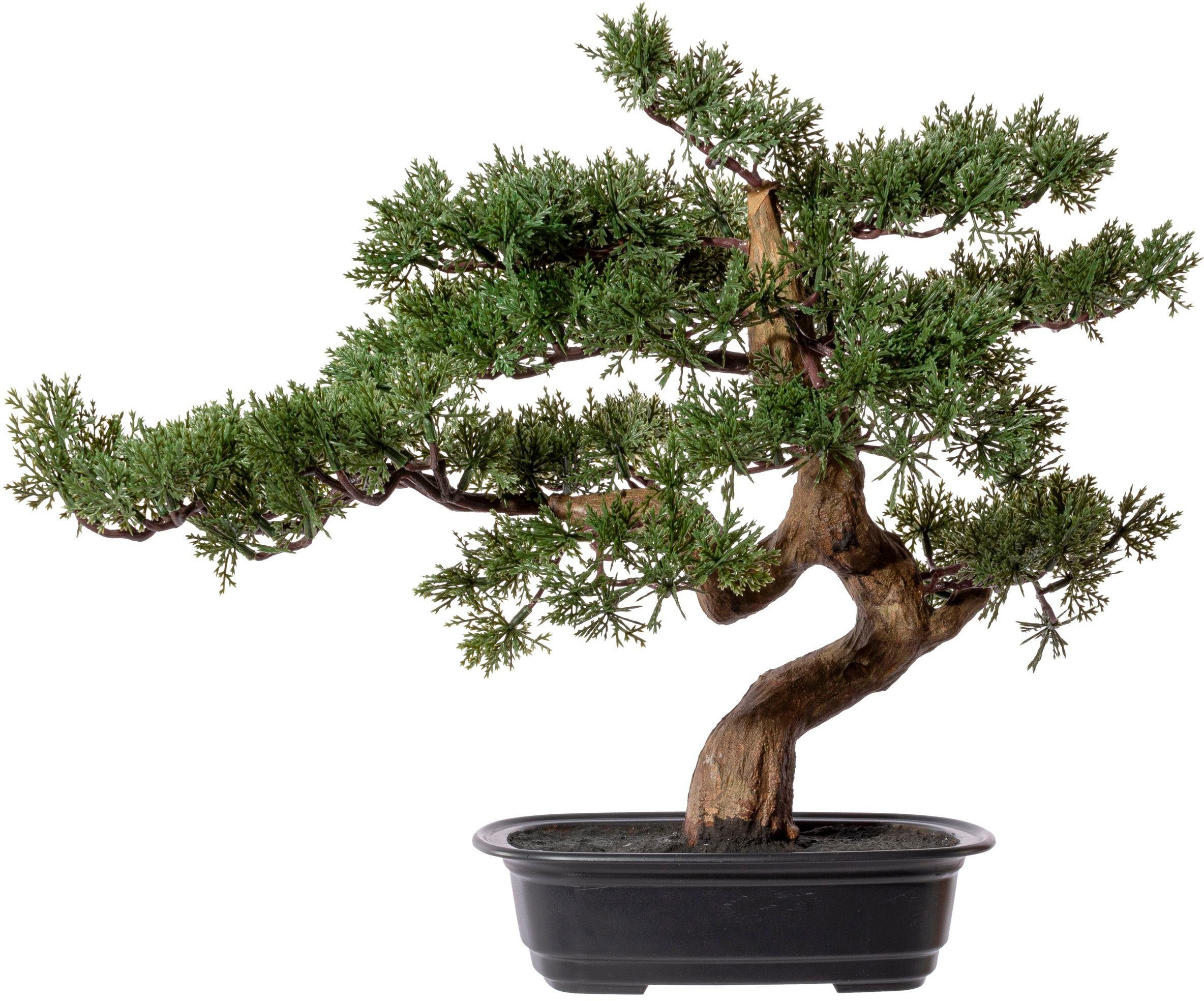 Creativ green Kunstbonsai "Bonsai Zeder" günstig online kaufen