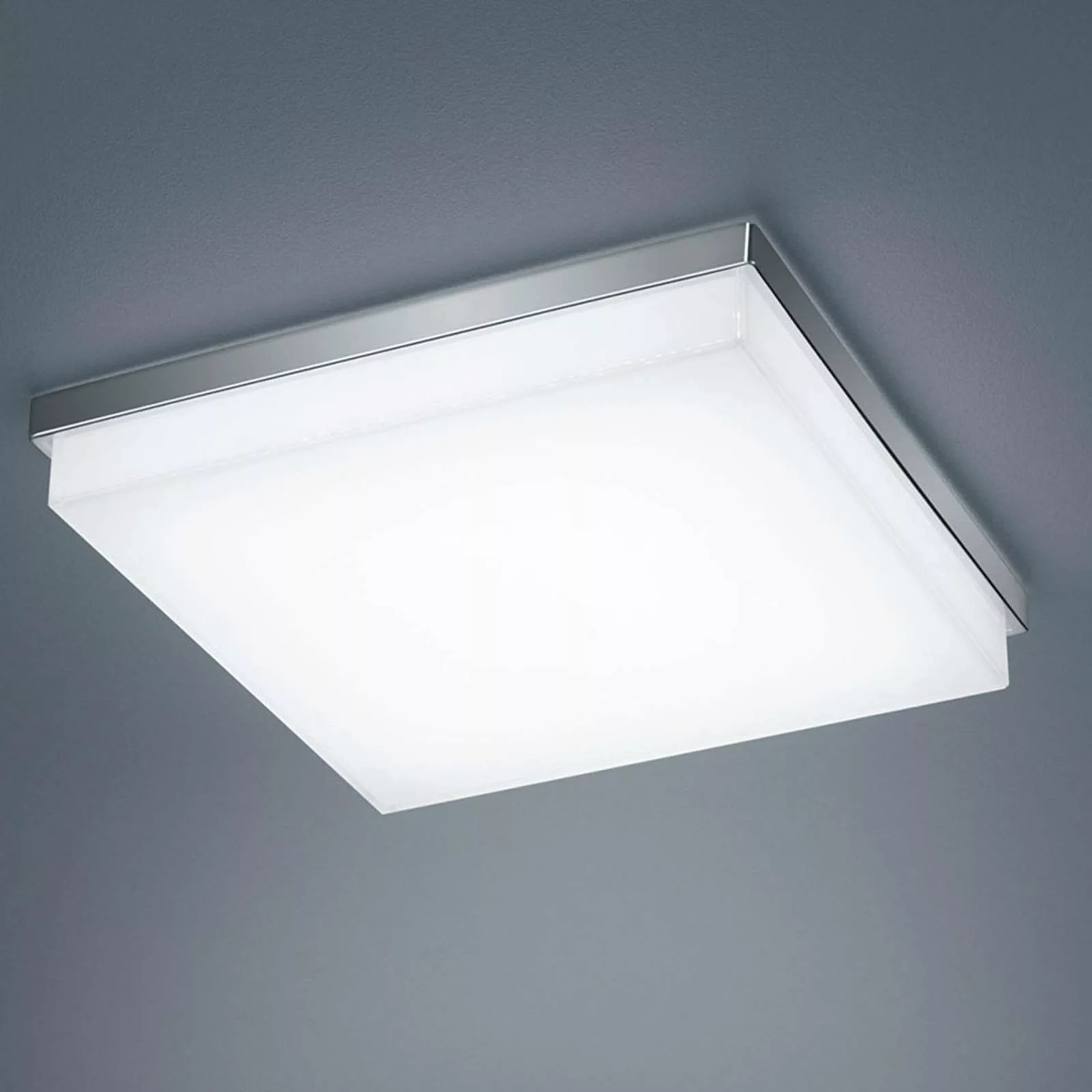 Helestra Cosi LED-Deckenleuchte chrom 31,5x31,5 cm günstig online kaufen