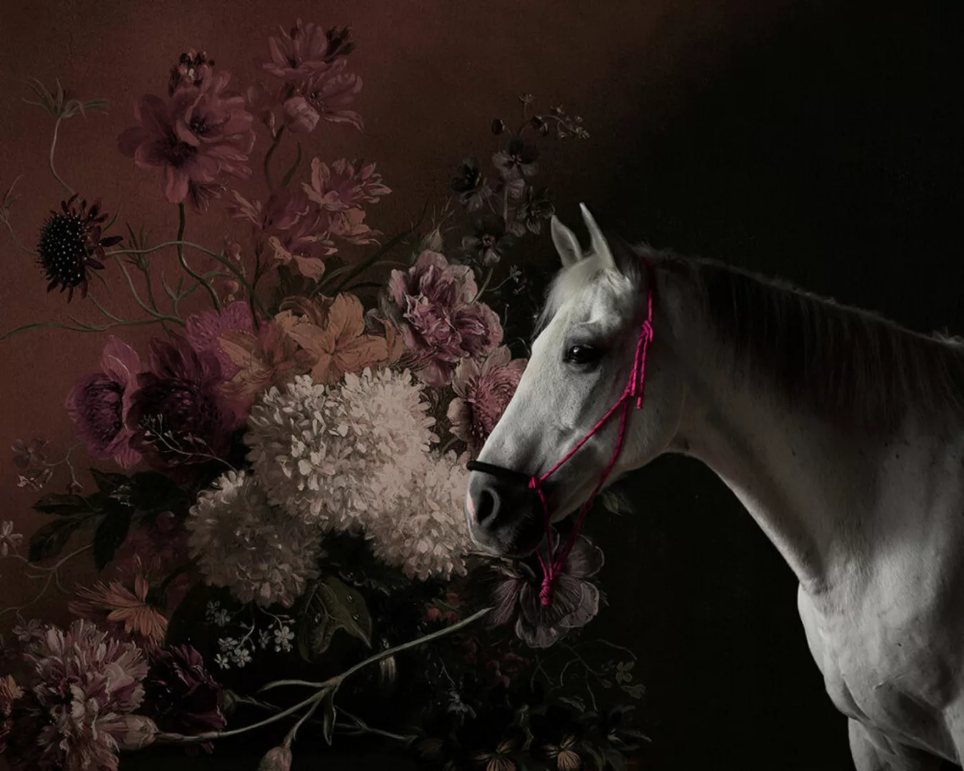 Fototapete "horses 1" 4,00x2,70 m / Glattvlies Perlmutt günstig online kaufen