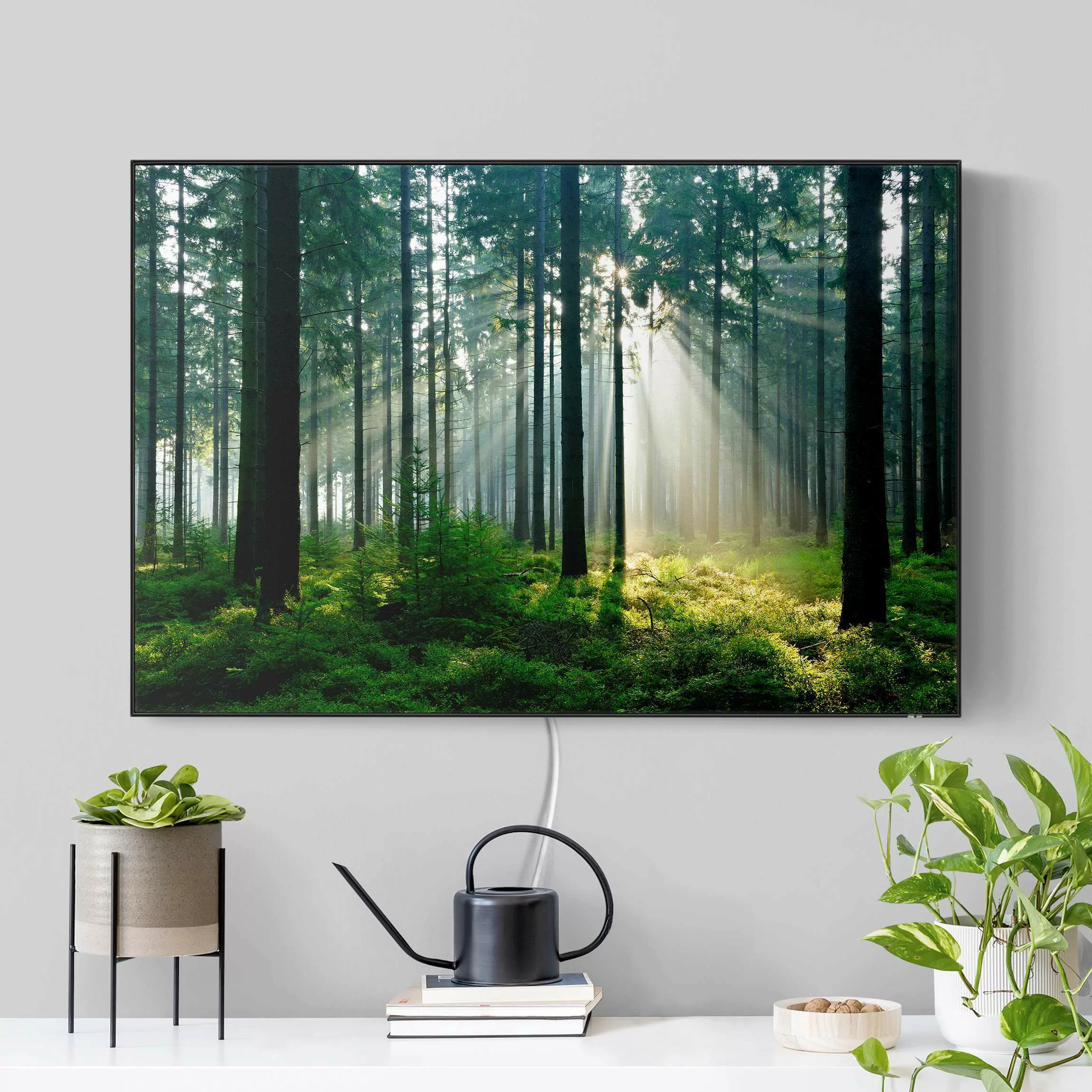 LED-Wechselbild Enlightened Forest günstig online kaufen