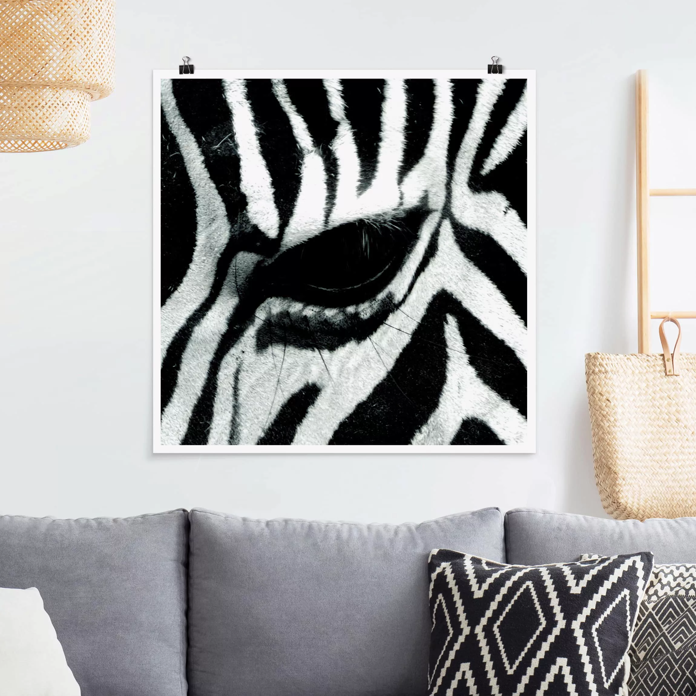 Poster Tiere - Quadrat Zebra Crossing günstig online kaufen