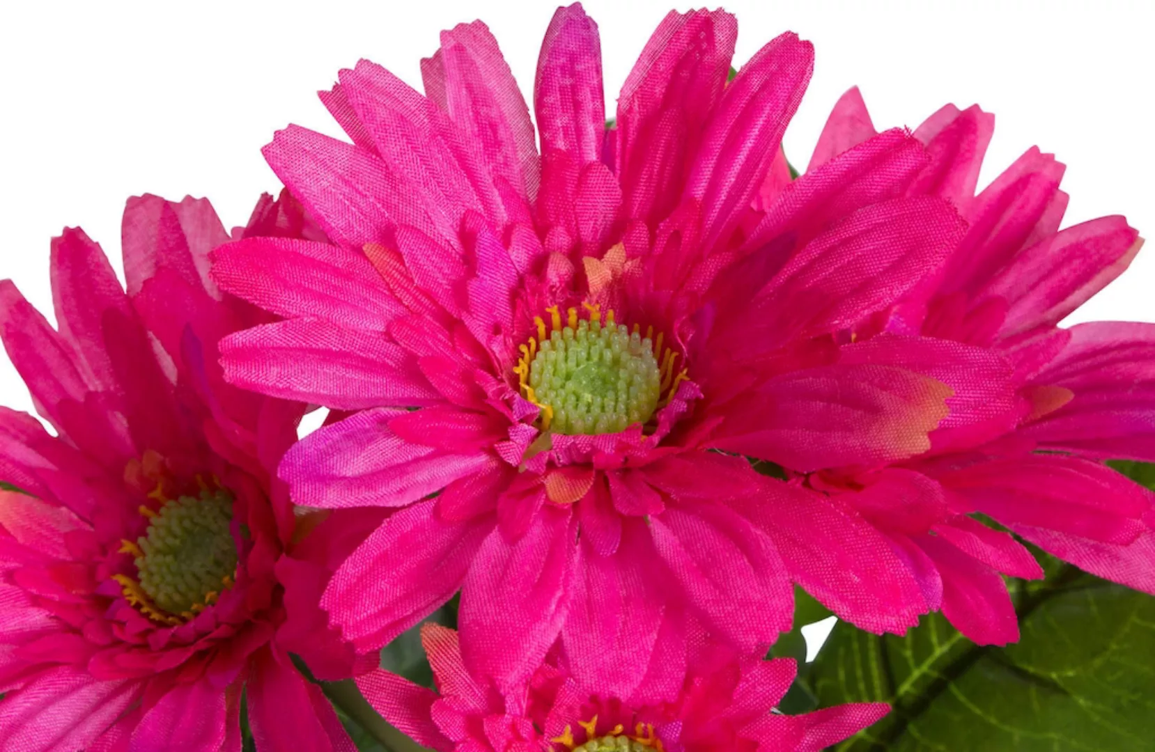 Botanic-Haus Kunstblume "Gerbera mit 5 Blüten" günstig online kaufen