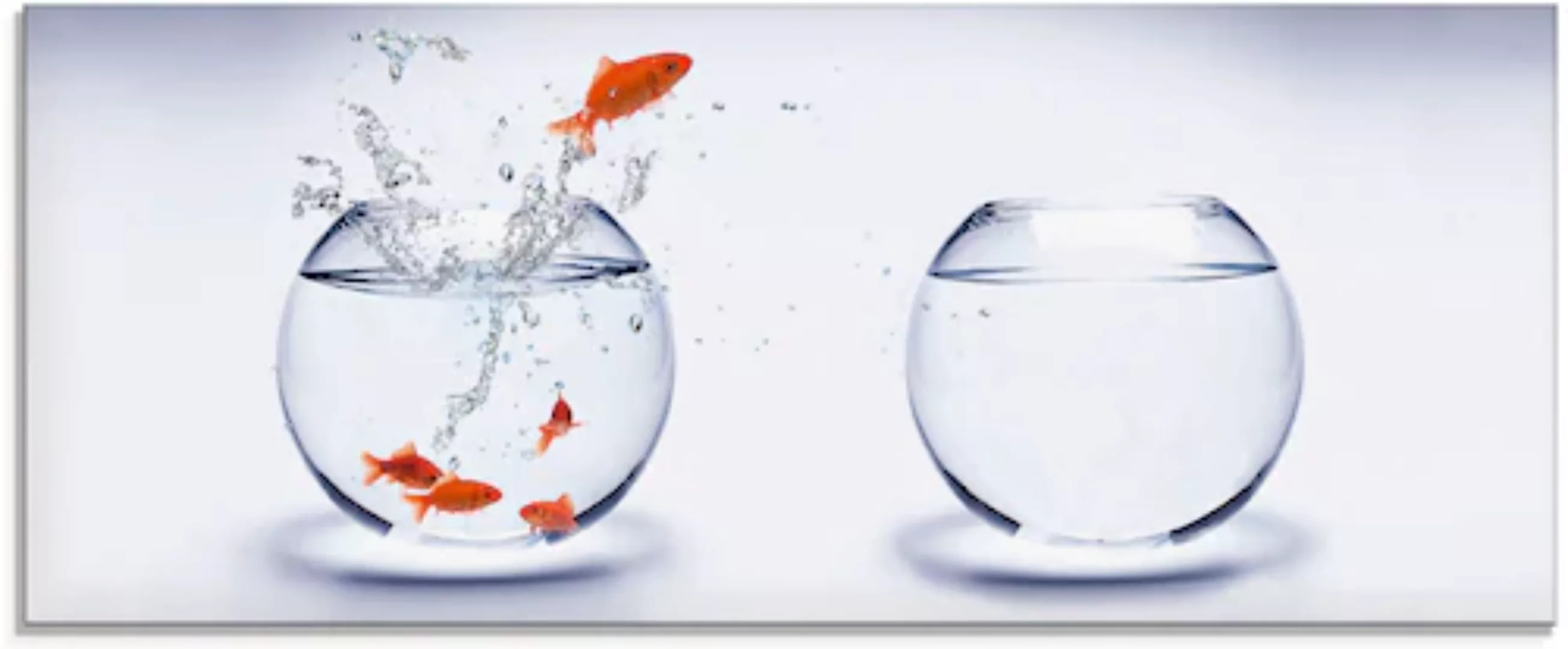 Artland Glasbild »Goldfischaquarium«, Wassertiere, (1 St.), in verschiedene günstig online kaufen