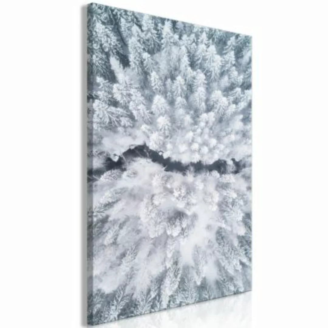 artgeist Wandbild Tree Crowns (1 Part) Vertical weiß-kombi Gr. 40 x 60 günstig online kaufen