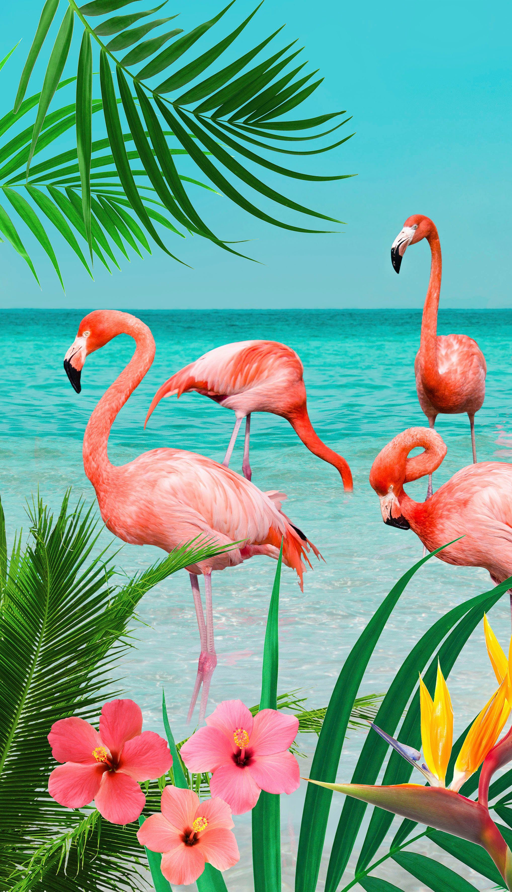 good morning Strandtuch Strandtuch "Flamingo", Polyester, günstig online kaufen