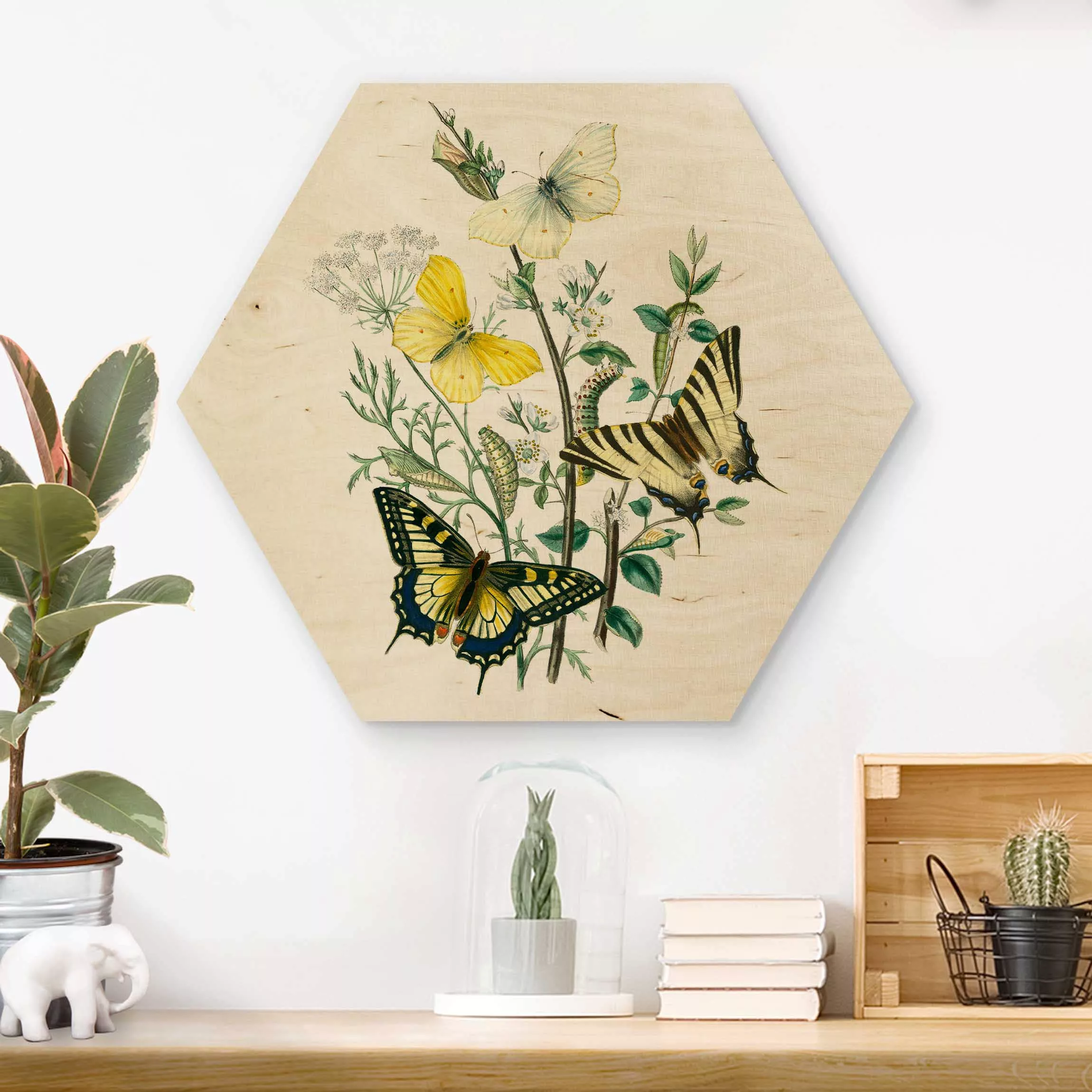 Hexagon-Holzbild Blumen Britische Schmetterlinge III günstig online kaufen