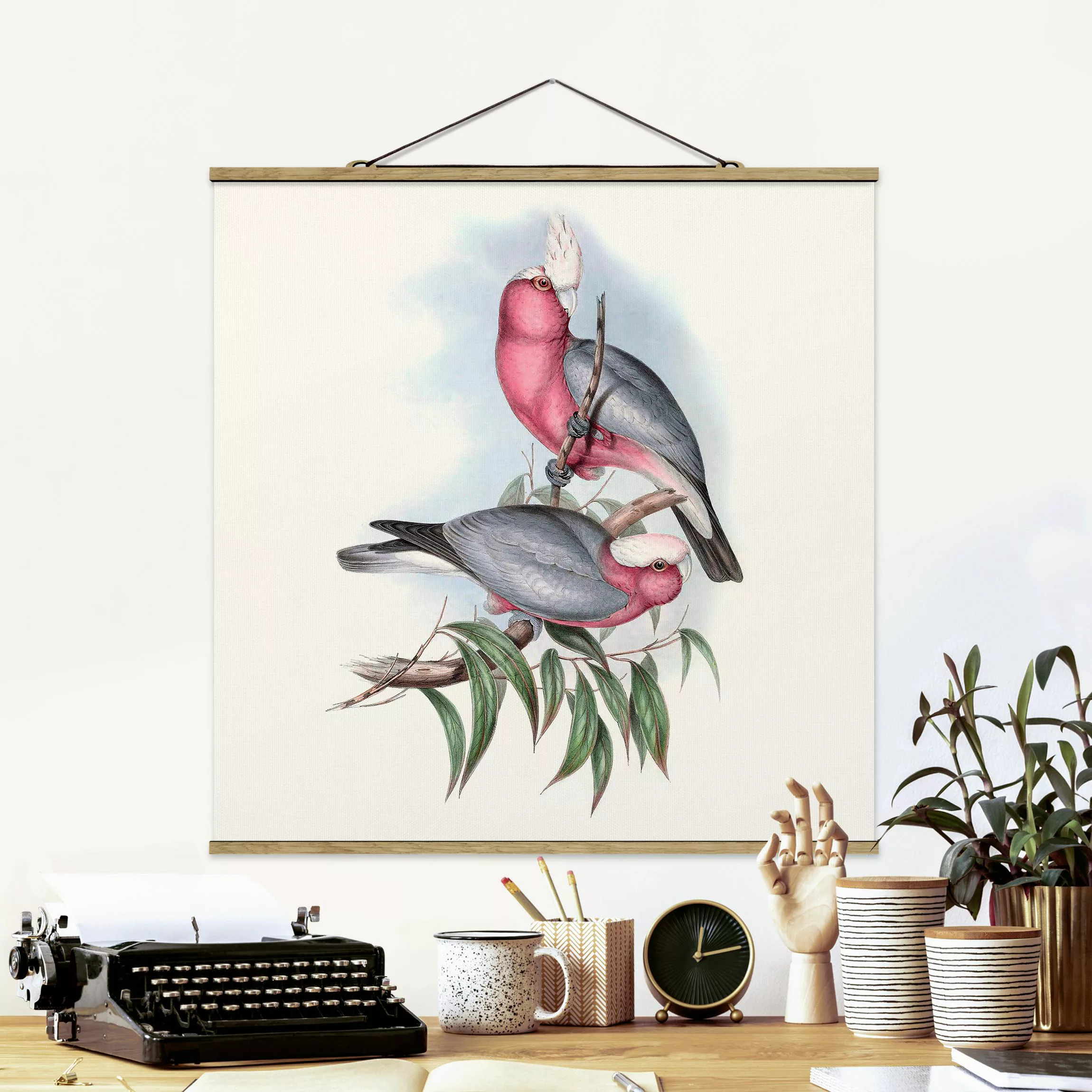 Stoffbild Tiere mit Posterleisten - Quadrat Pastell Papageien II günstig online kaufen