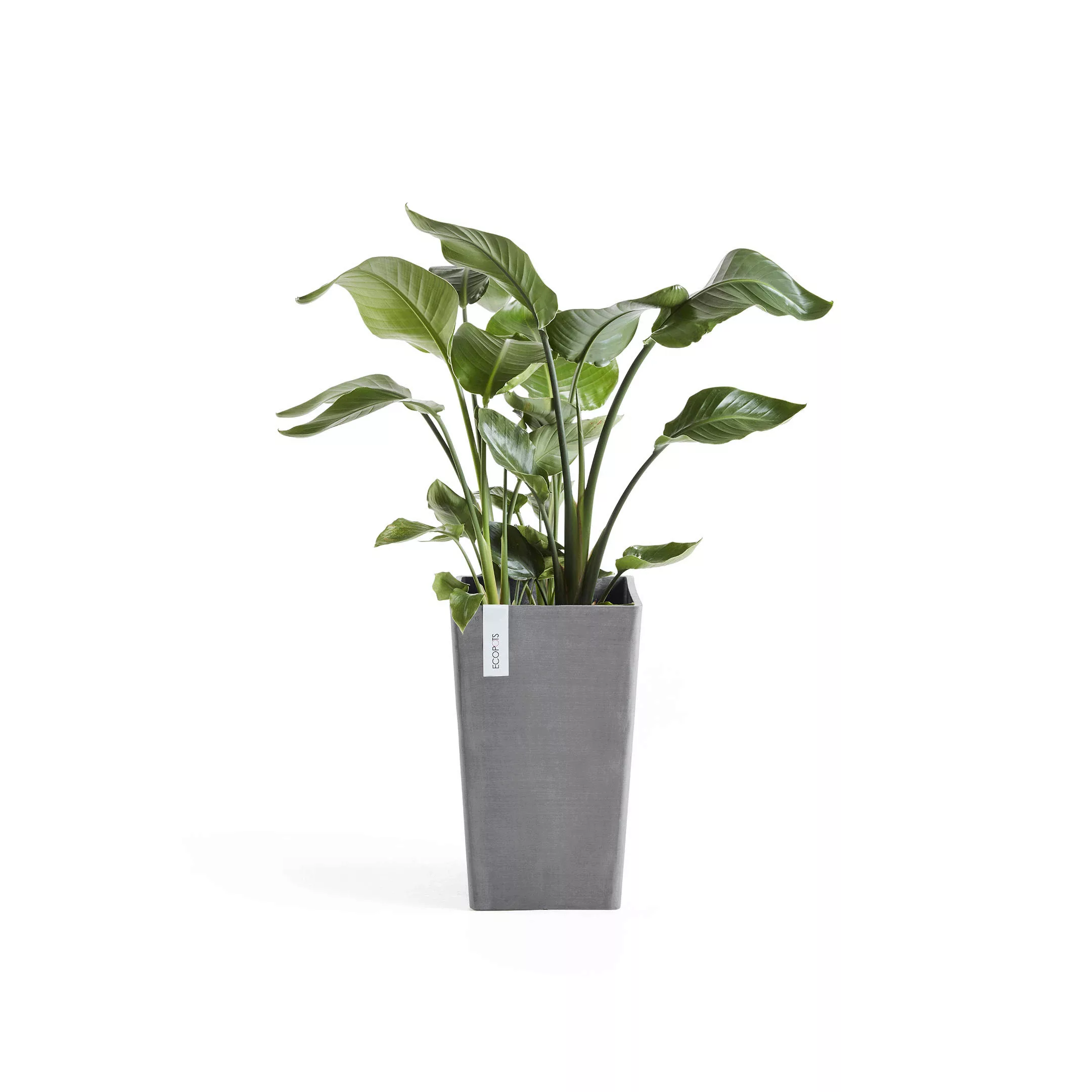 Ecopots Pflanztopf Rotterdam halbhoch Braungrau 50 cm günstig online kaufen