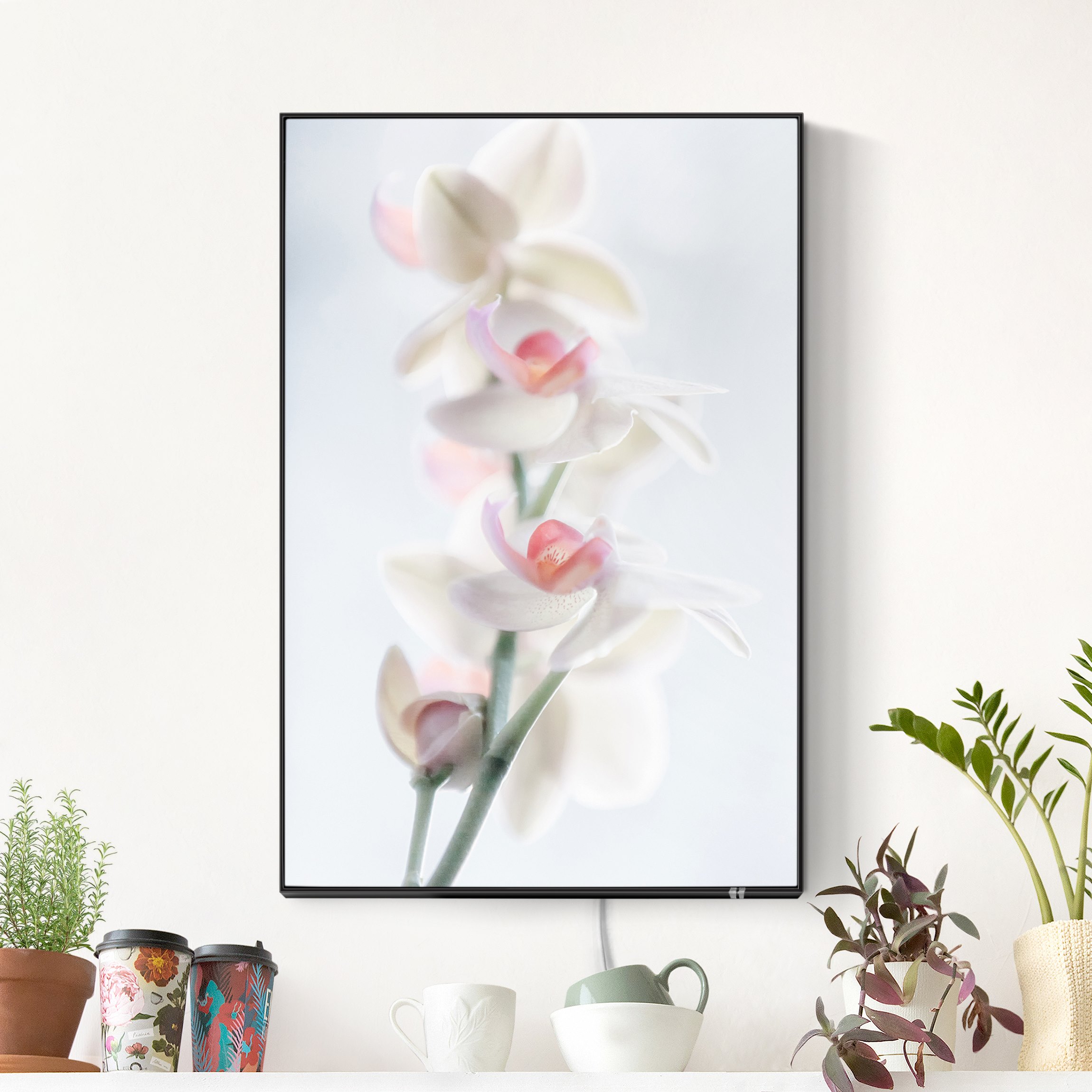 LED-Wechselbild Zerbrechliche Orchidee günstig online kaufen